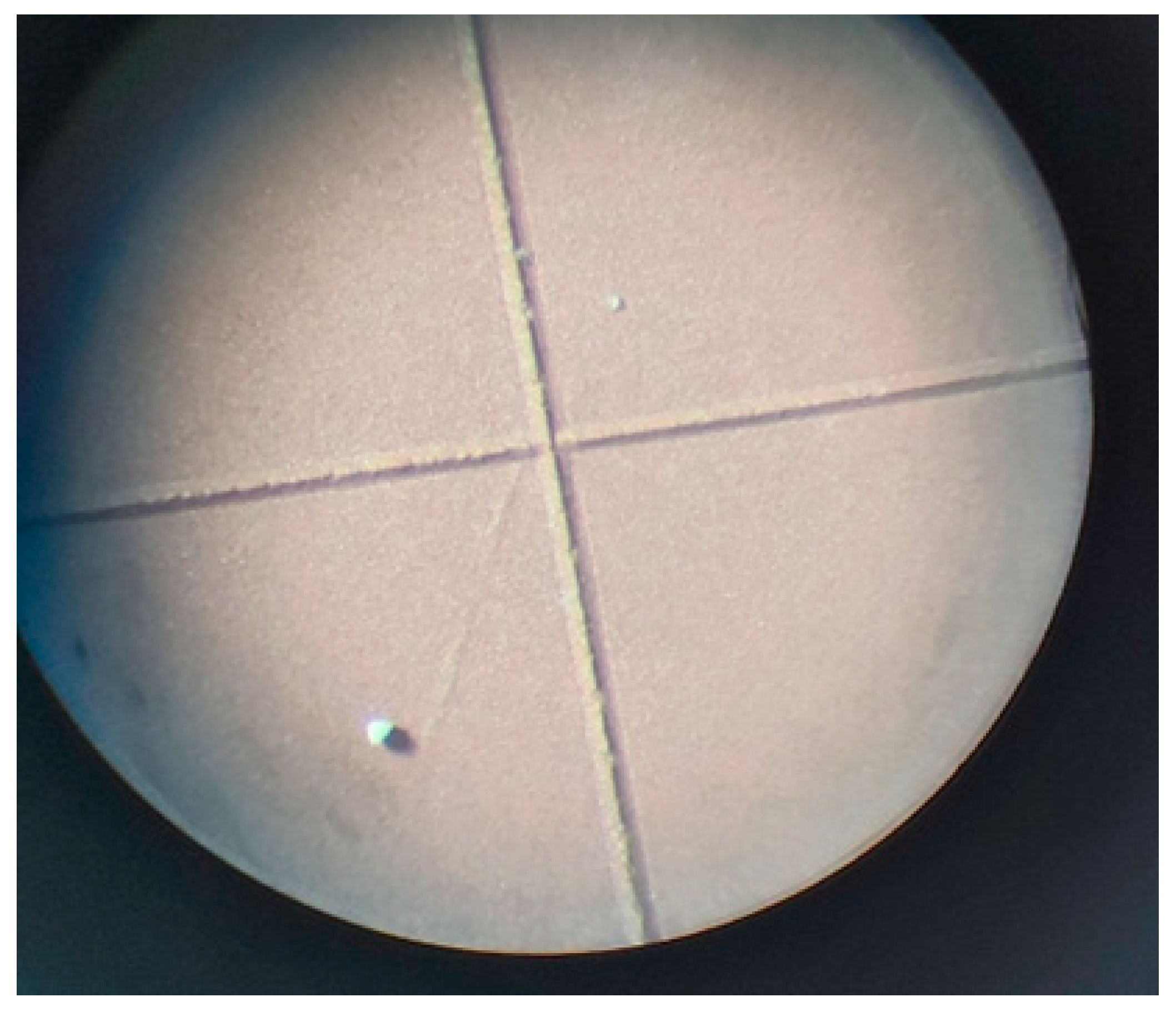 Applsci 13 11639 g009