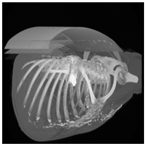 Applsci 13 11640 i001