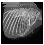 Applsci 13 11640 i004