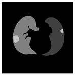 Applsci 13 11640 i006