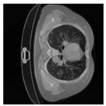 Applsci 13 11640 i027