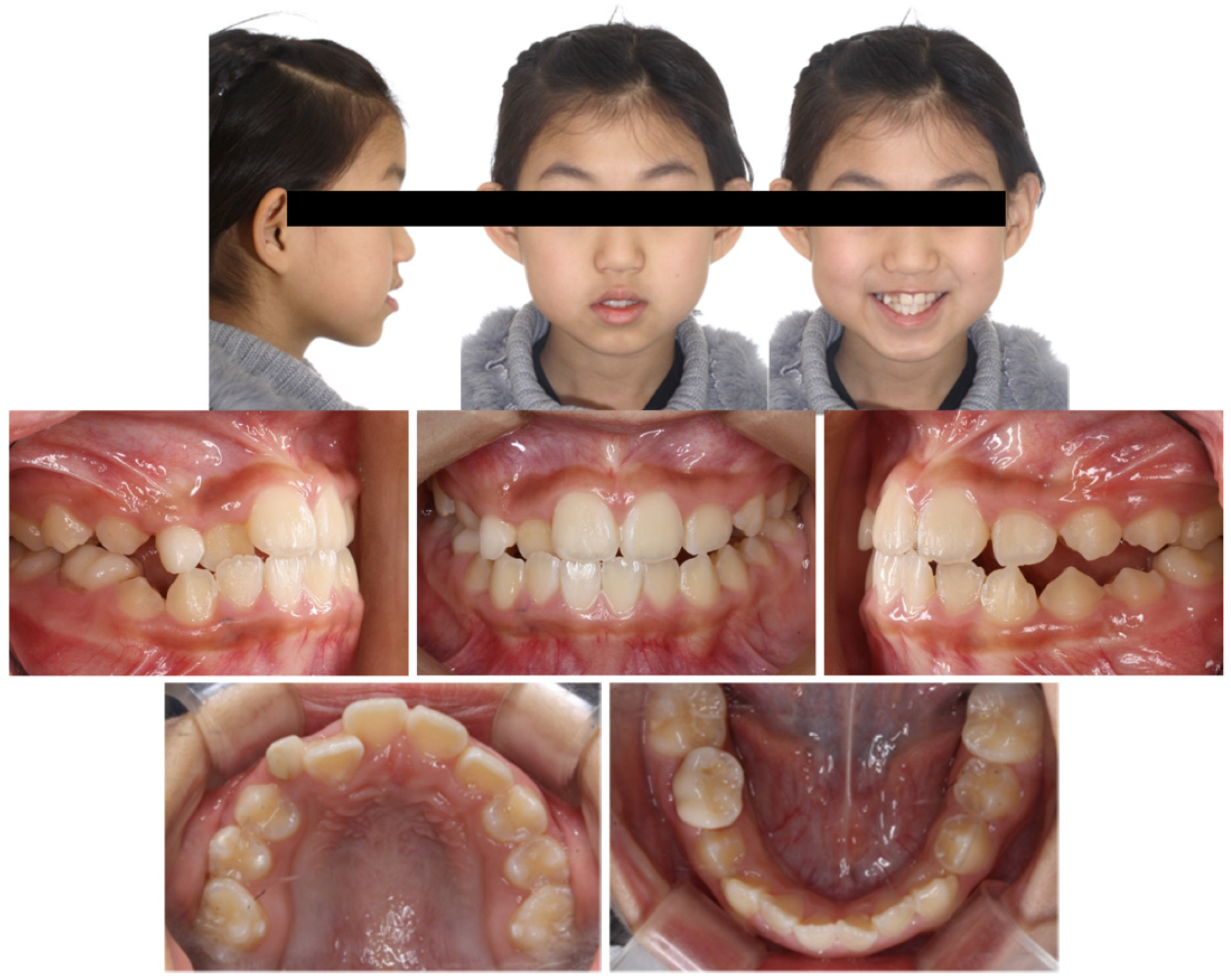 Applsci 13 11665 g001