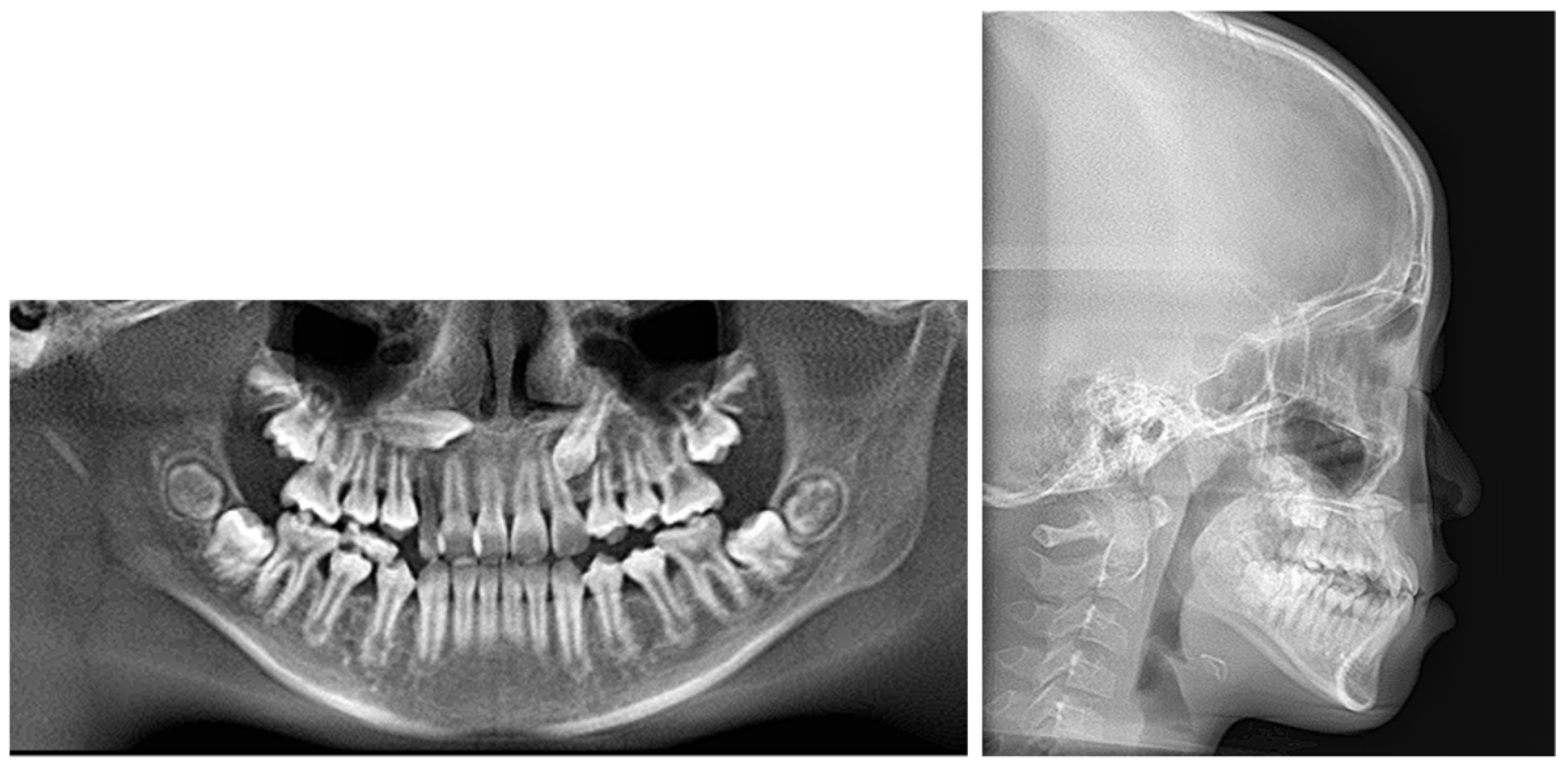 Applsci 13 11665 g002