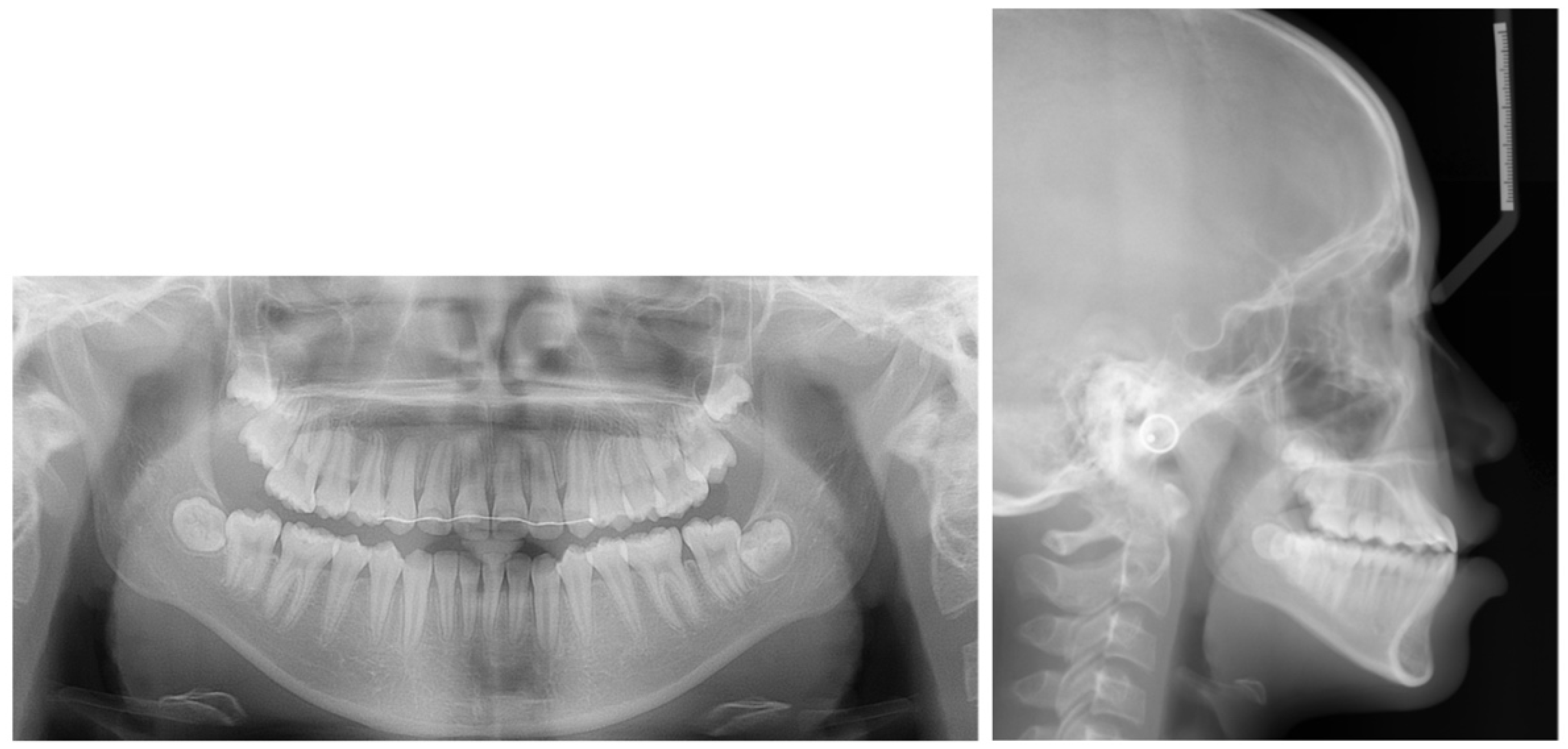 Applsci 13 11665 g010