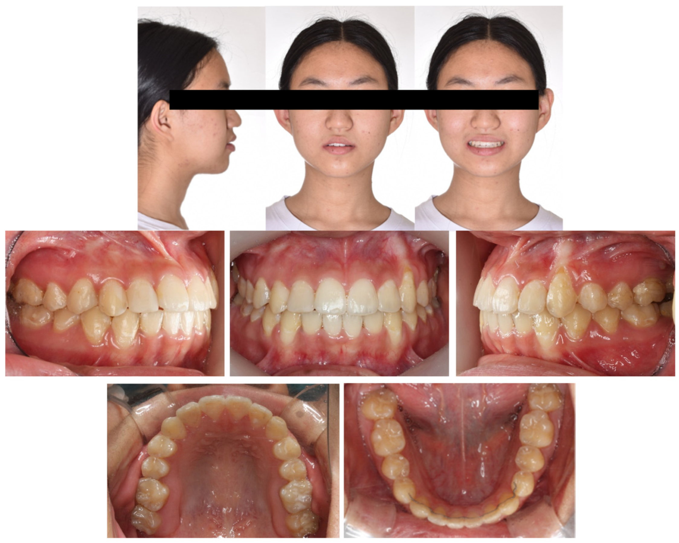 Applsci 13 11665 g014