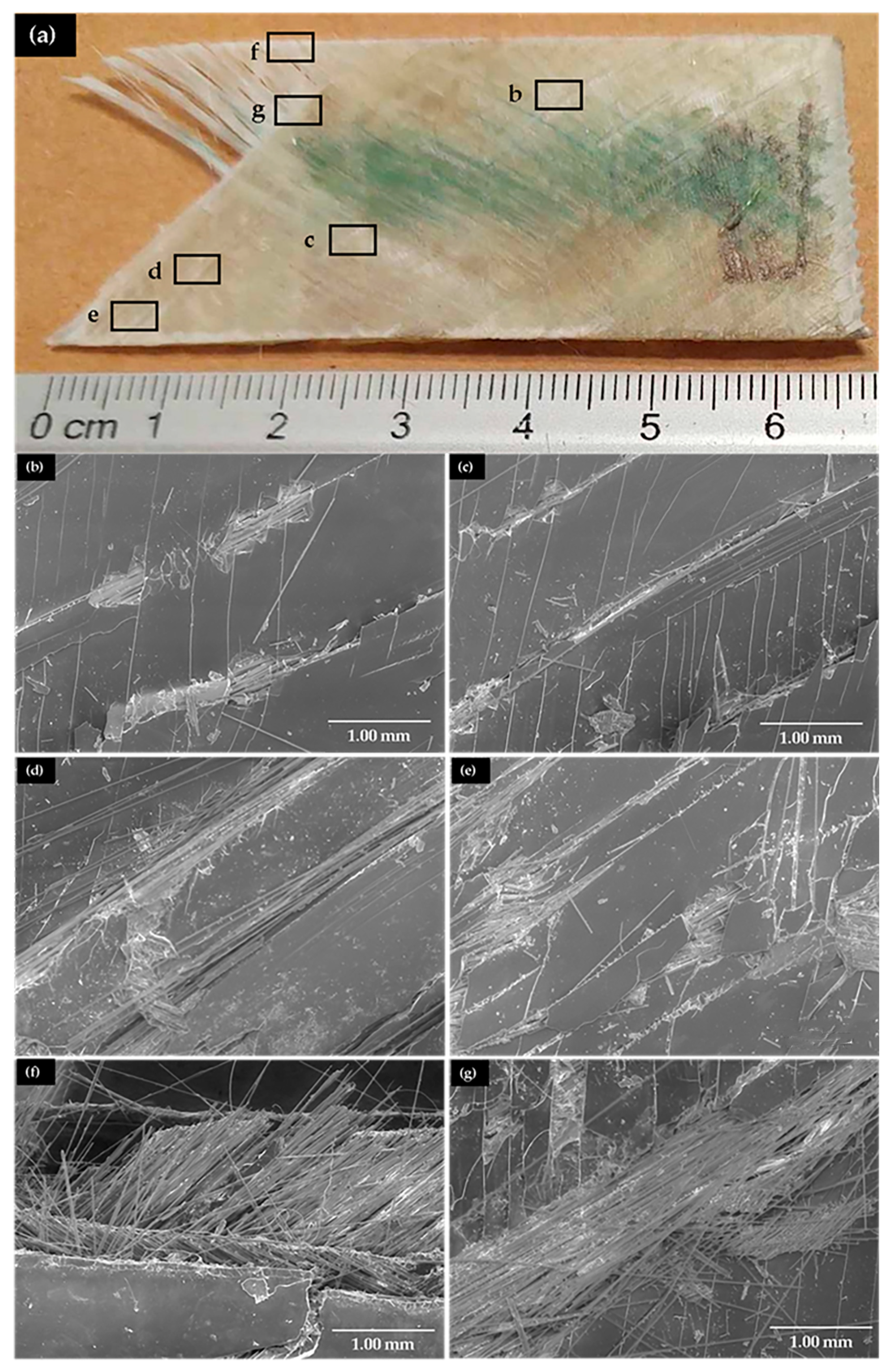 Applsci 13 11679 g005