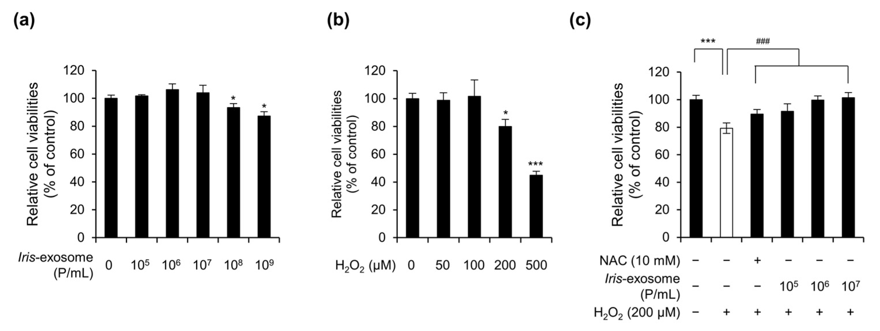 Applsci 13 11681 g002