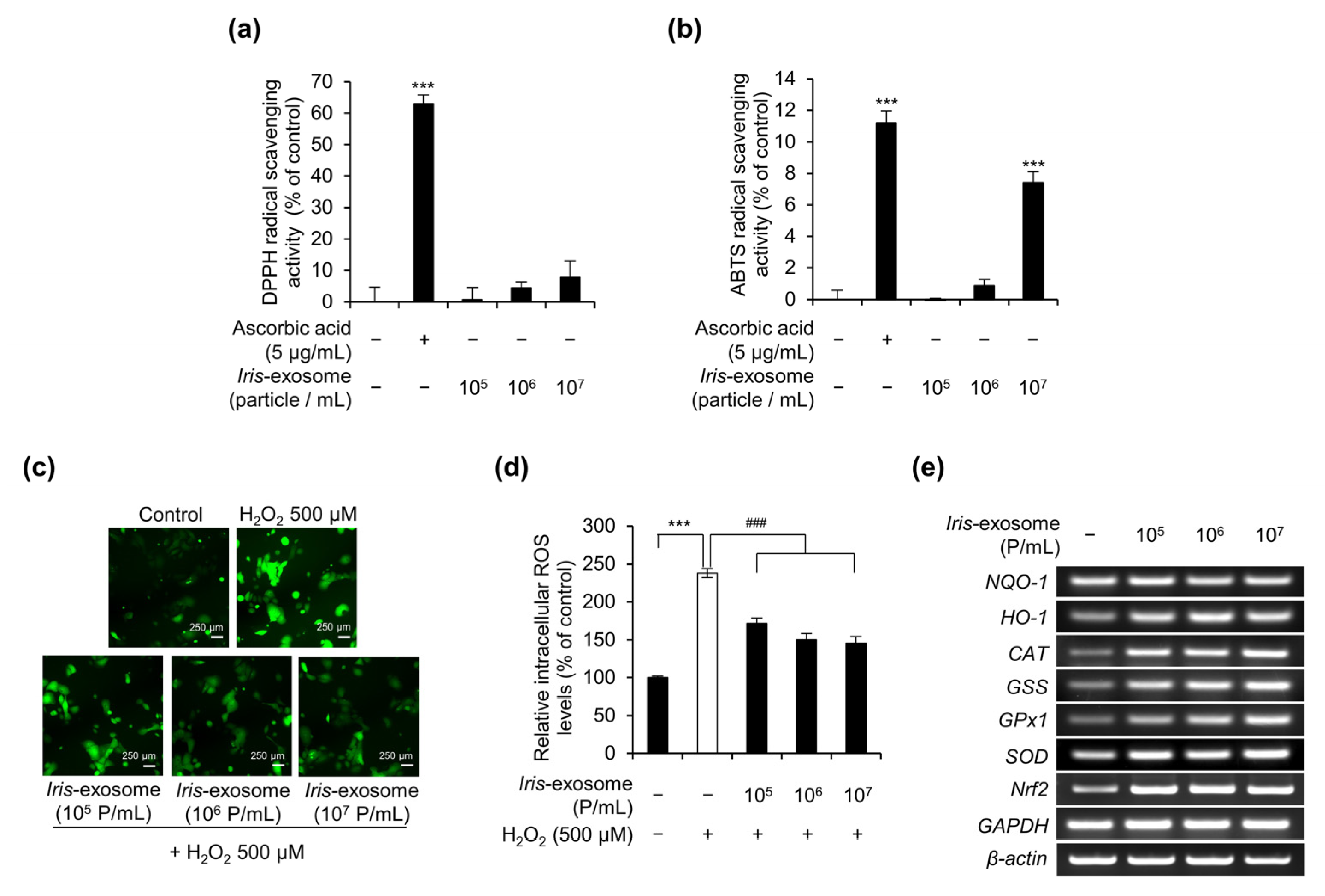 Applsci 13 11681 g003