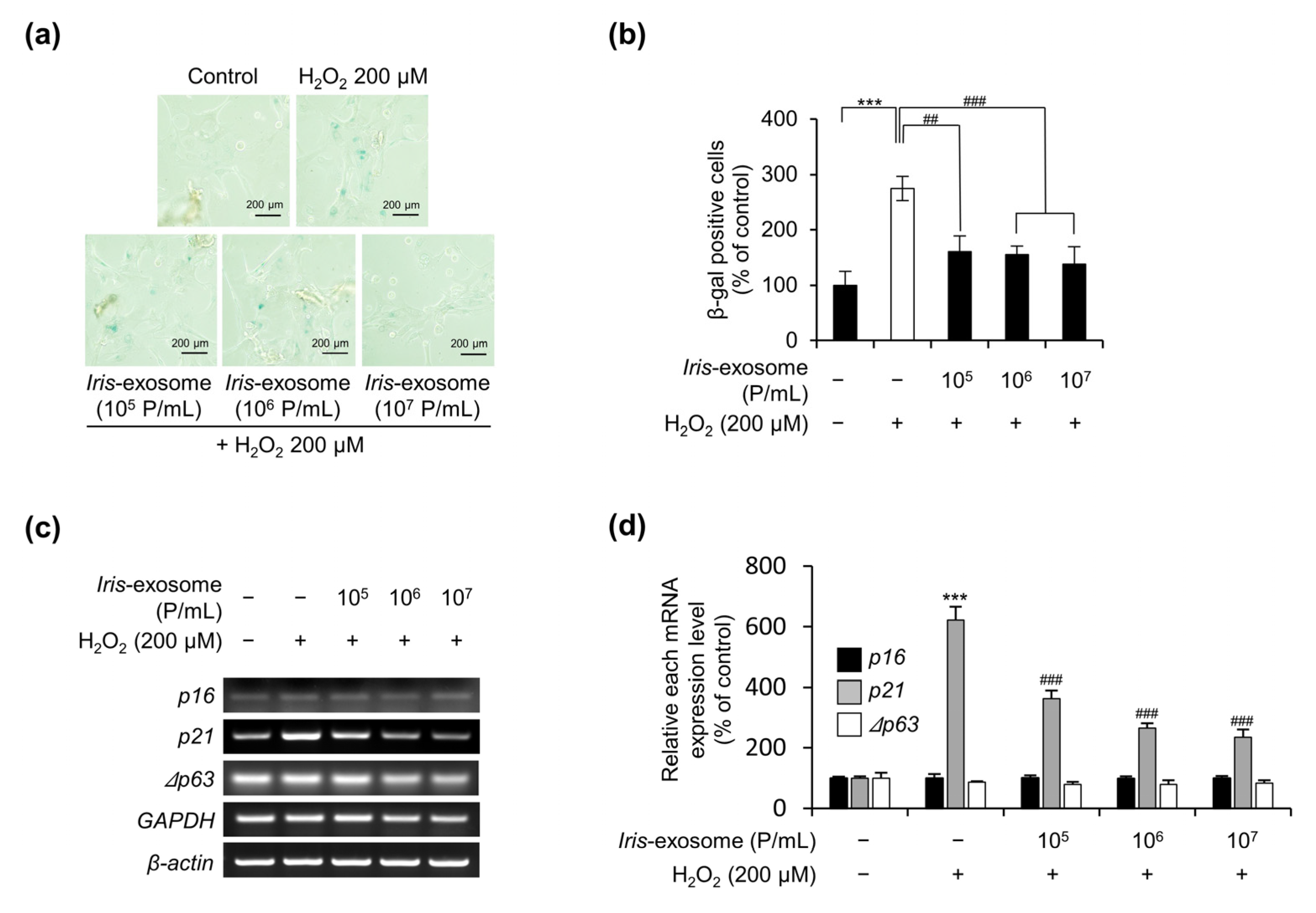 Applsci 13 11681 g004