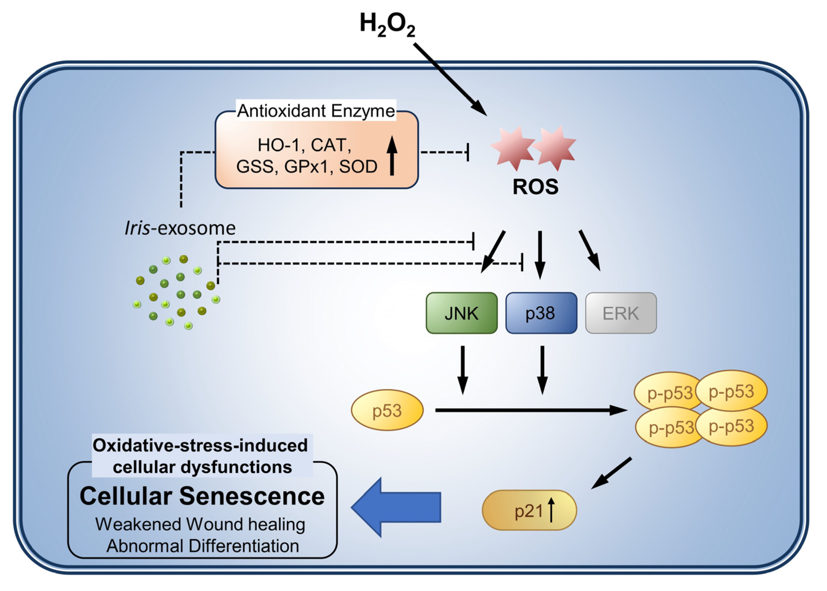 Applsci 13 11681 g007