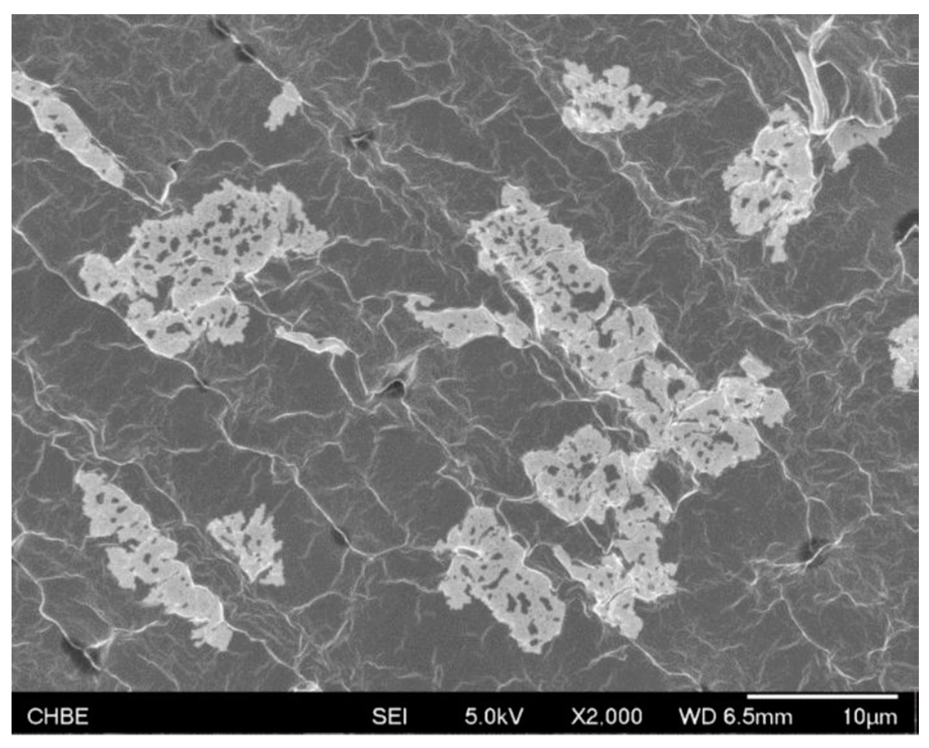 Applsci 13 11684 g002