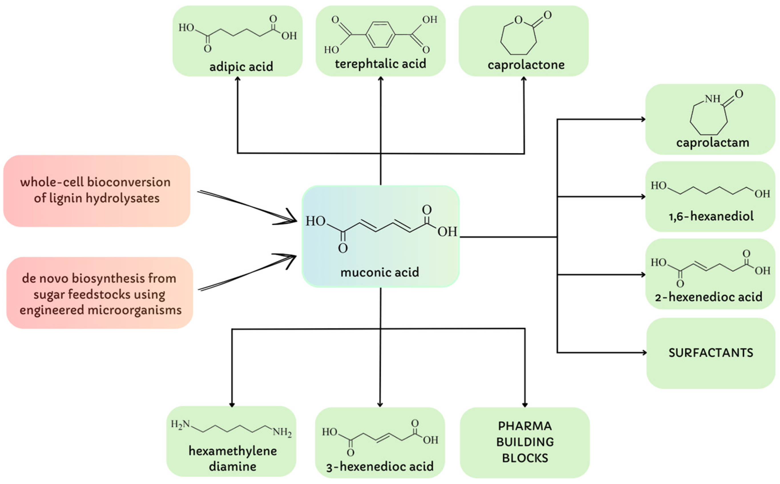 Applsci 13 11691 g002