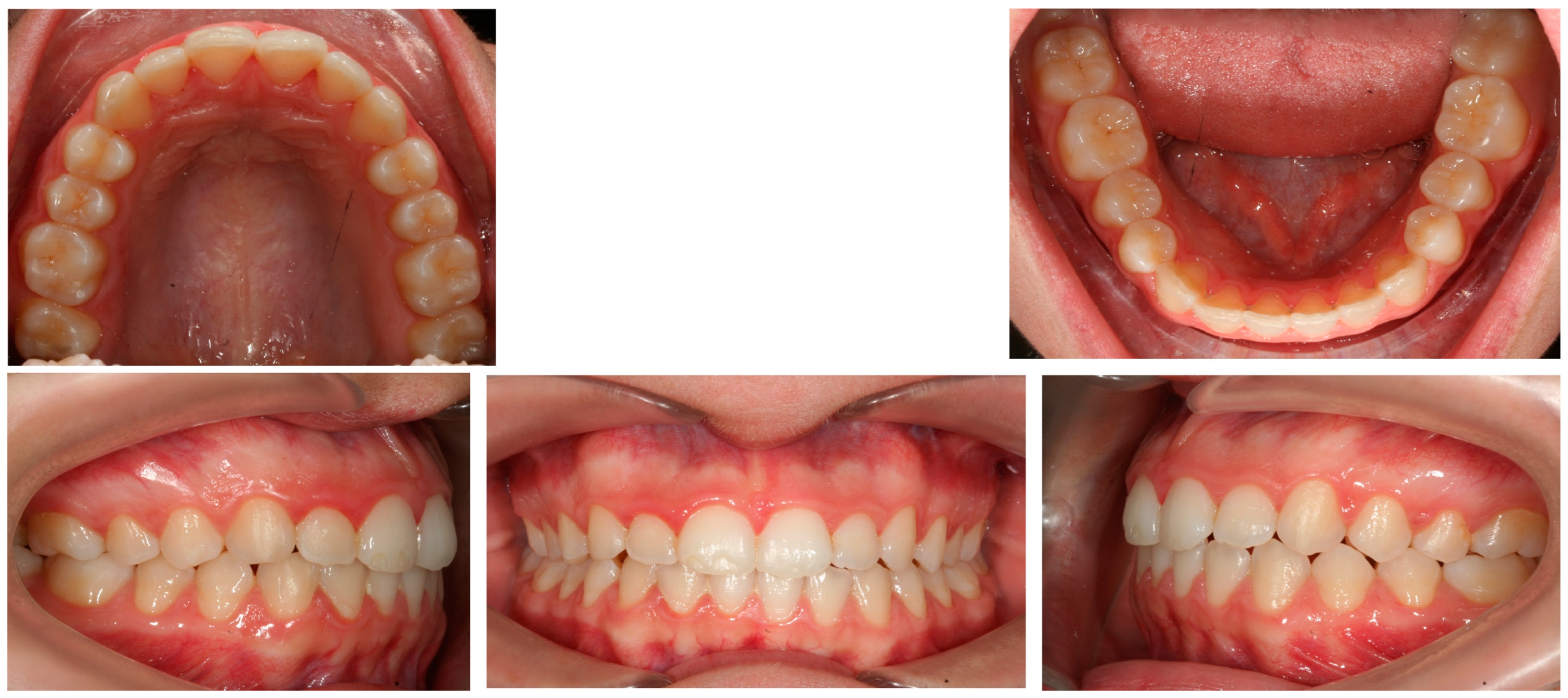 Applsci 13 11696 g010