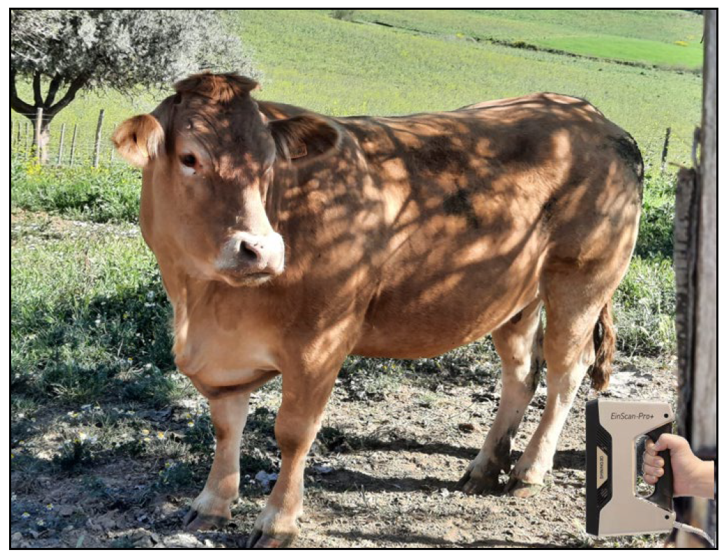 Applsci 13 11725 g001