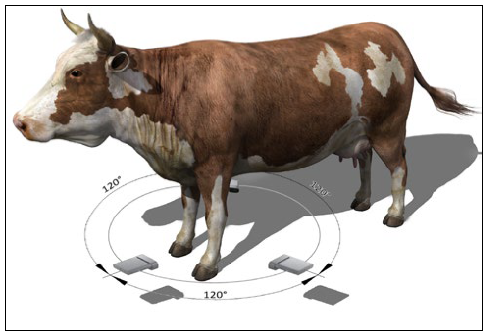 Applsci 13 11725 g002