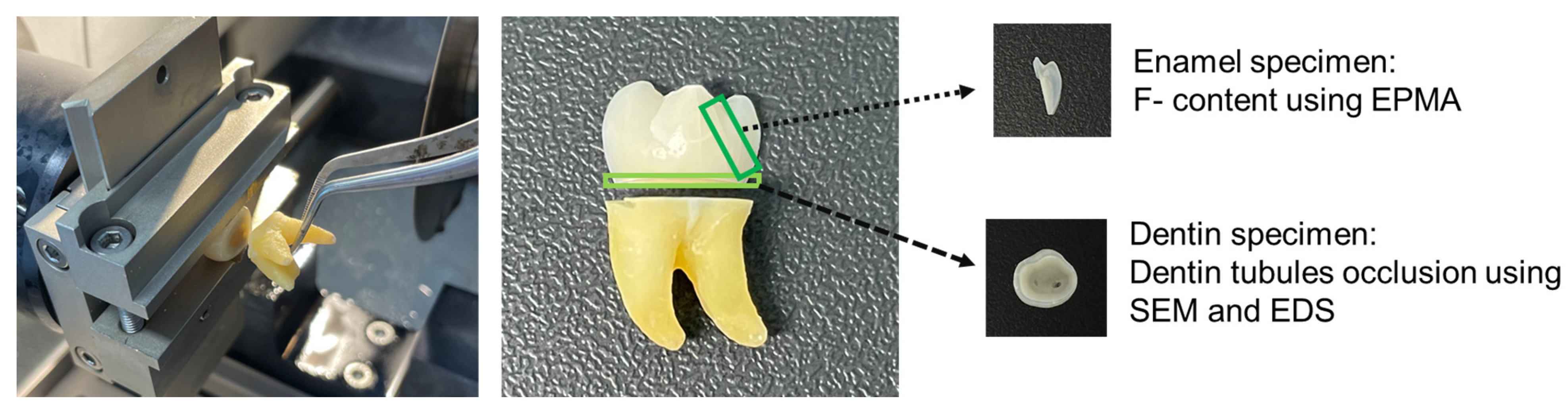 Applsci 13 11728 g001