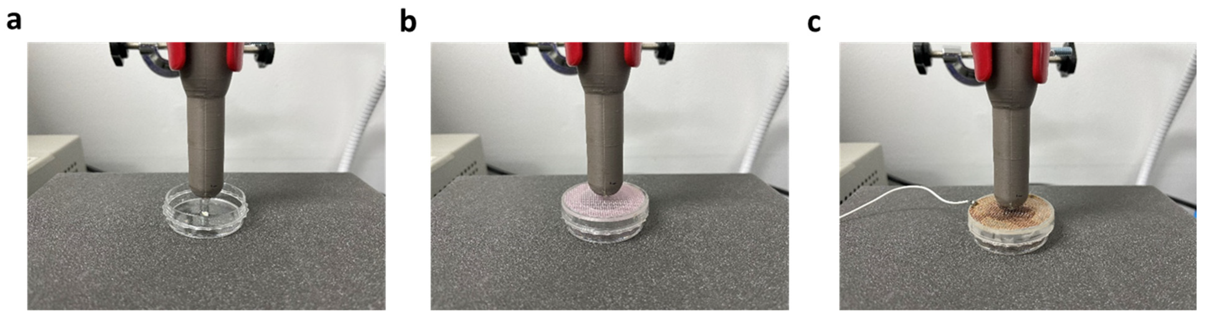 Applsci 13 11728 g003