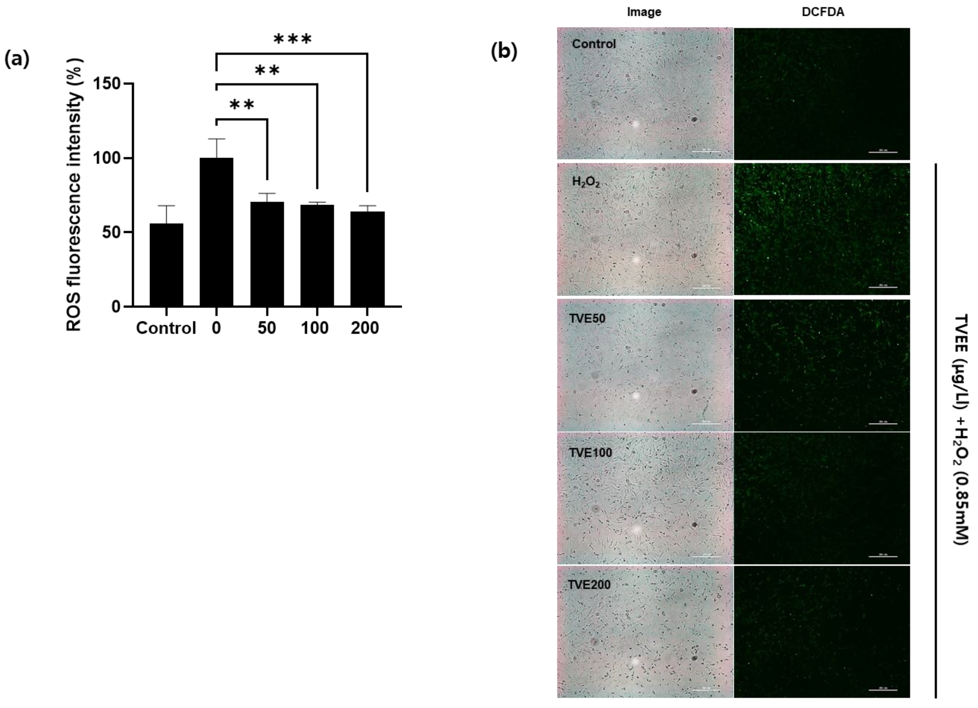Applsci 13 11732 g003