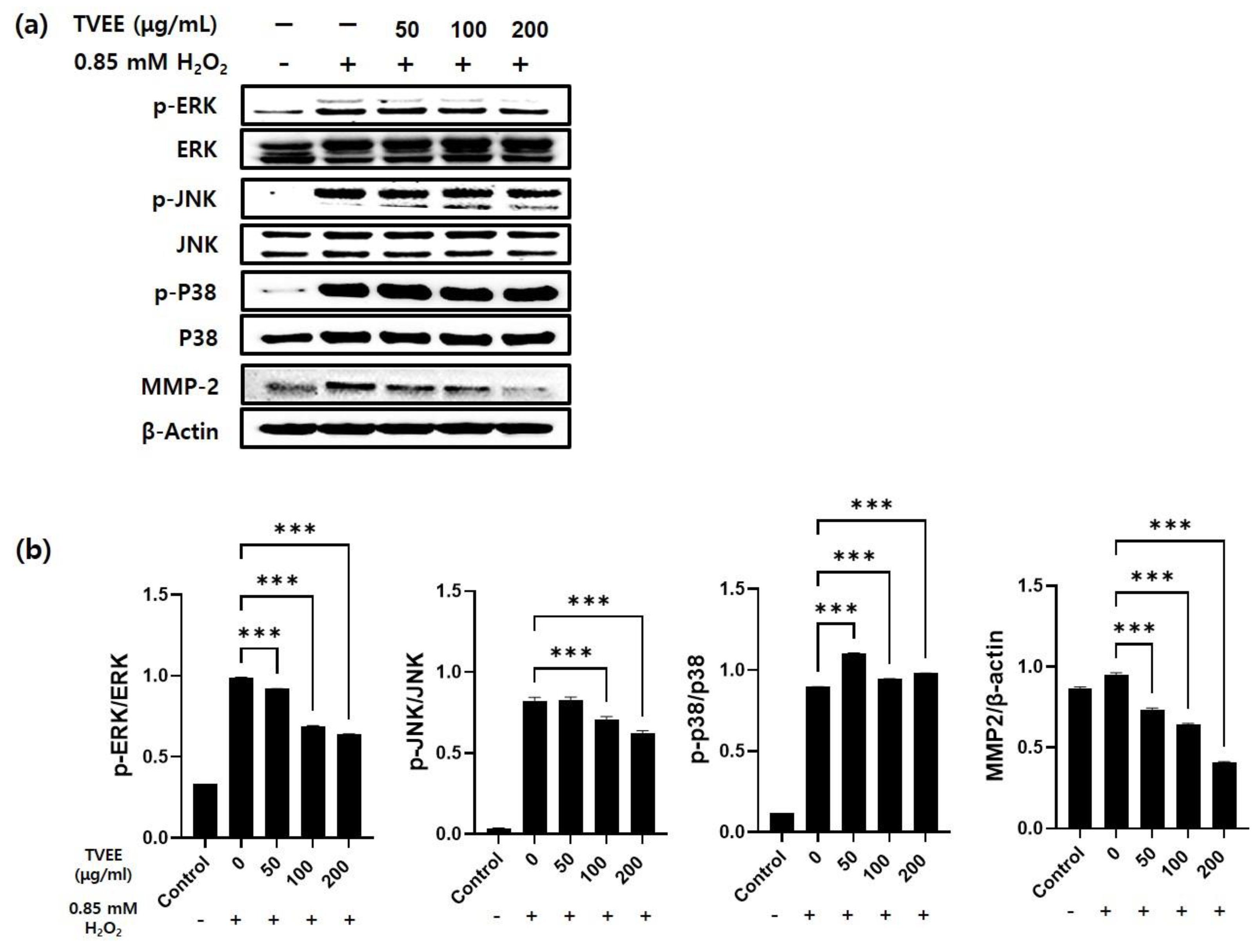 Applsci 13 11732 g004