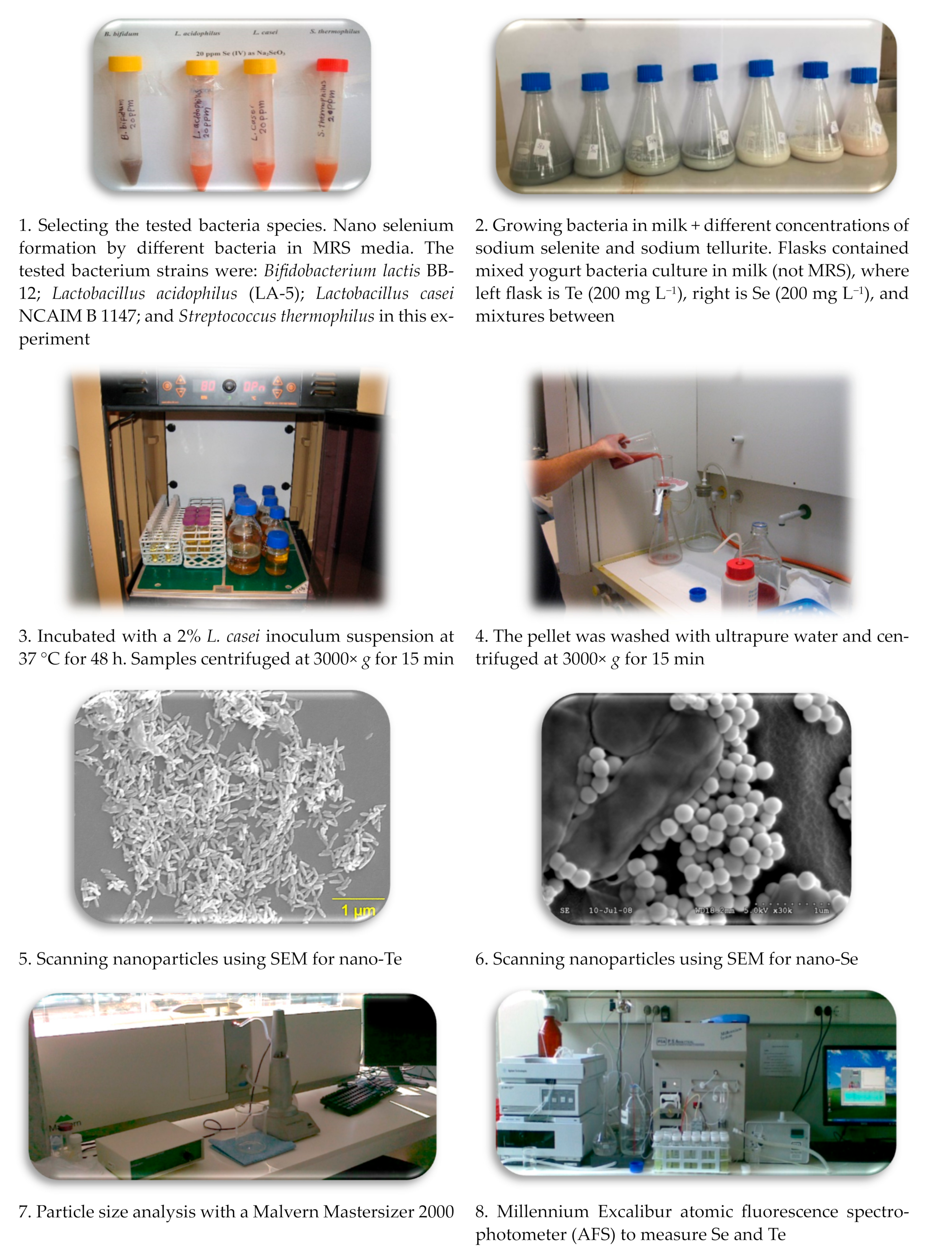 Applsci 13 11733 g001