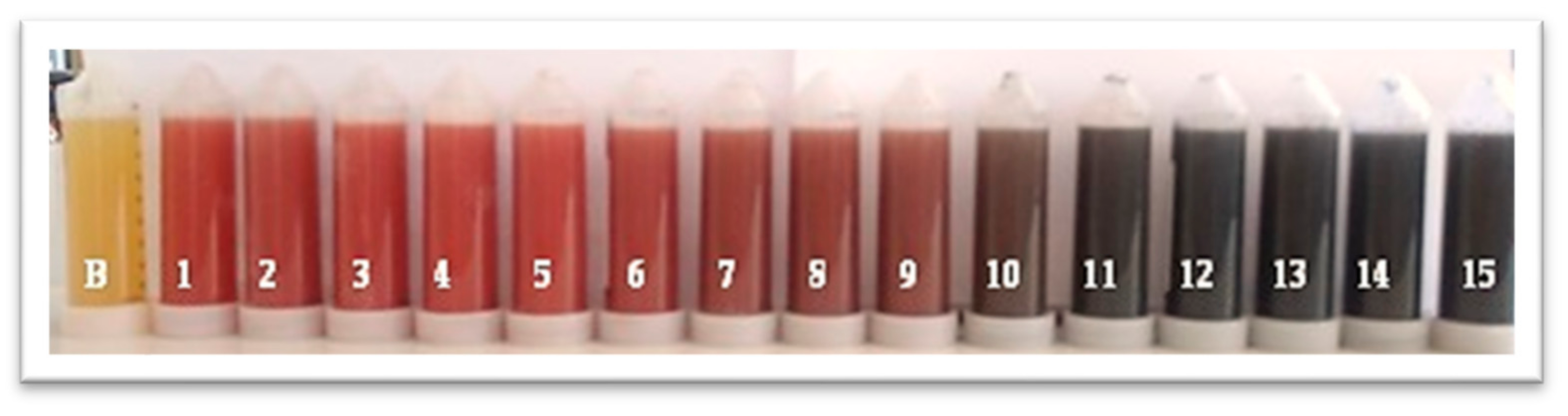 Applsci 13 11733 g002