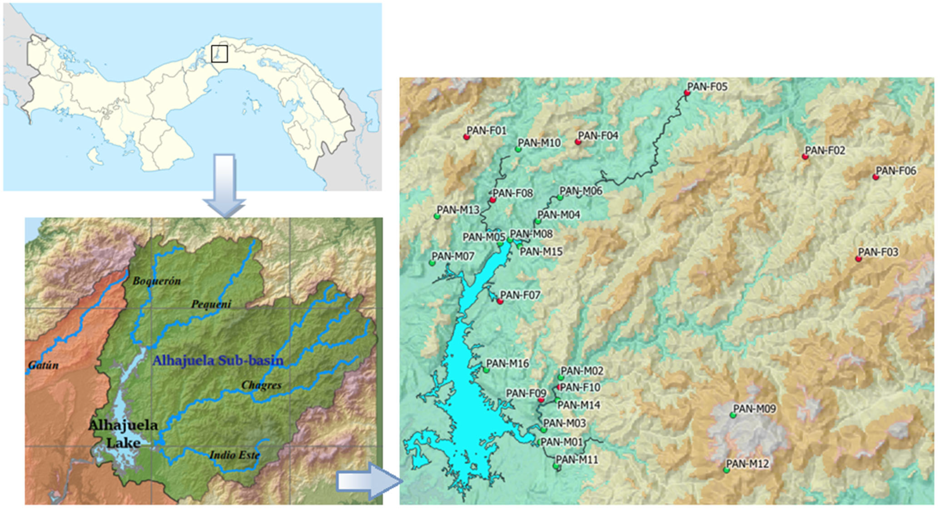 Applsci 13 11736 g006