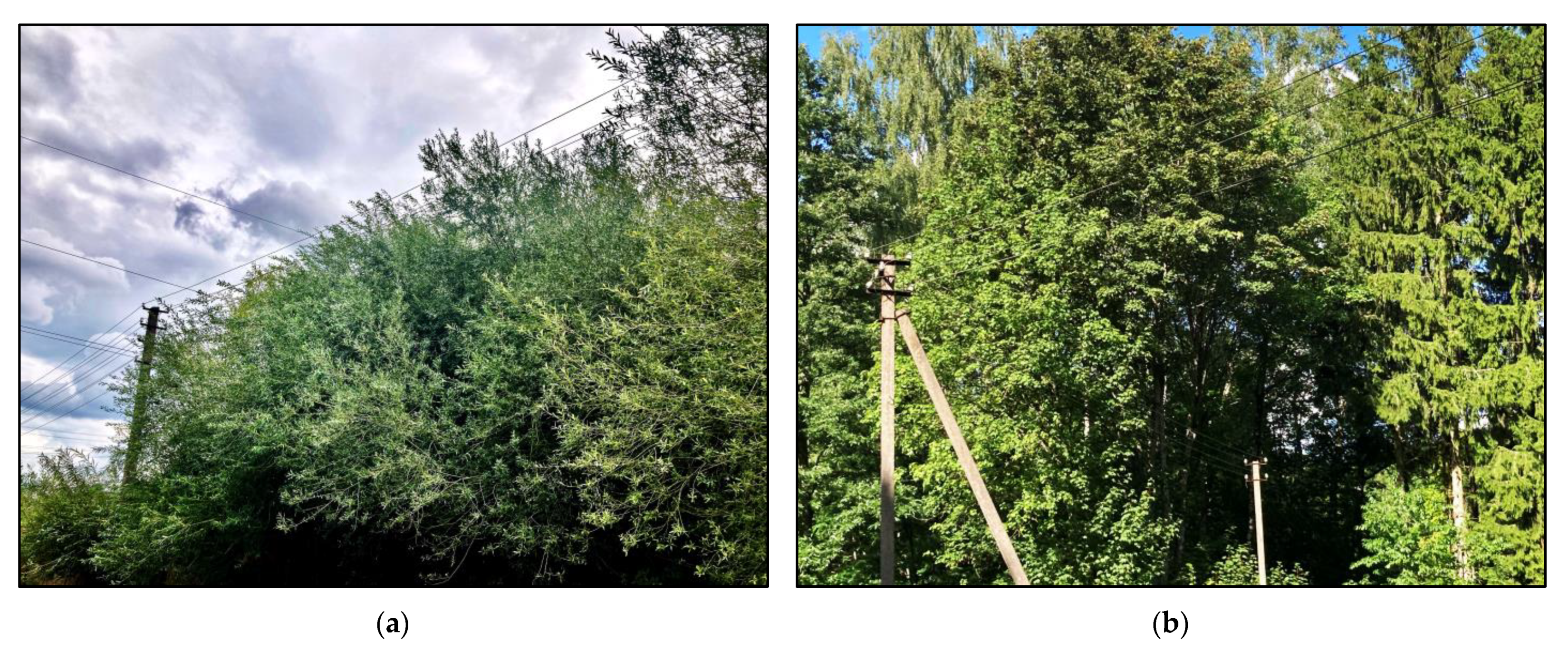 Applsci 13 11778 g076