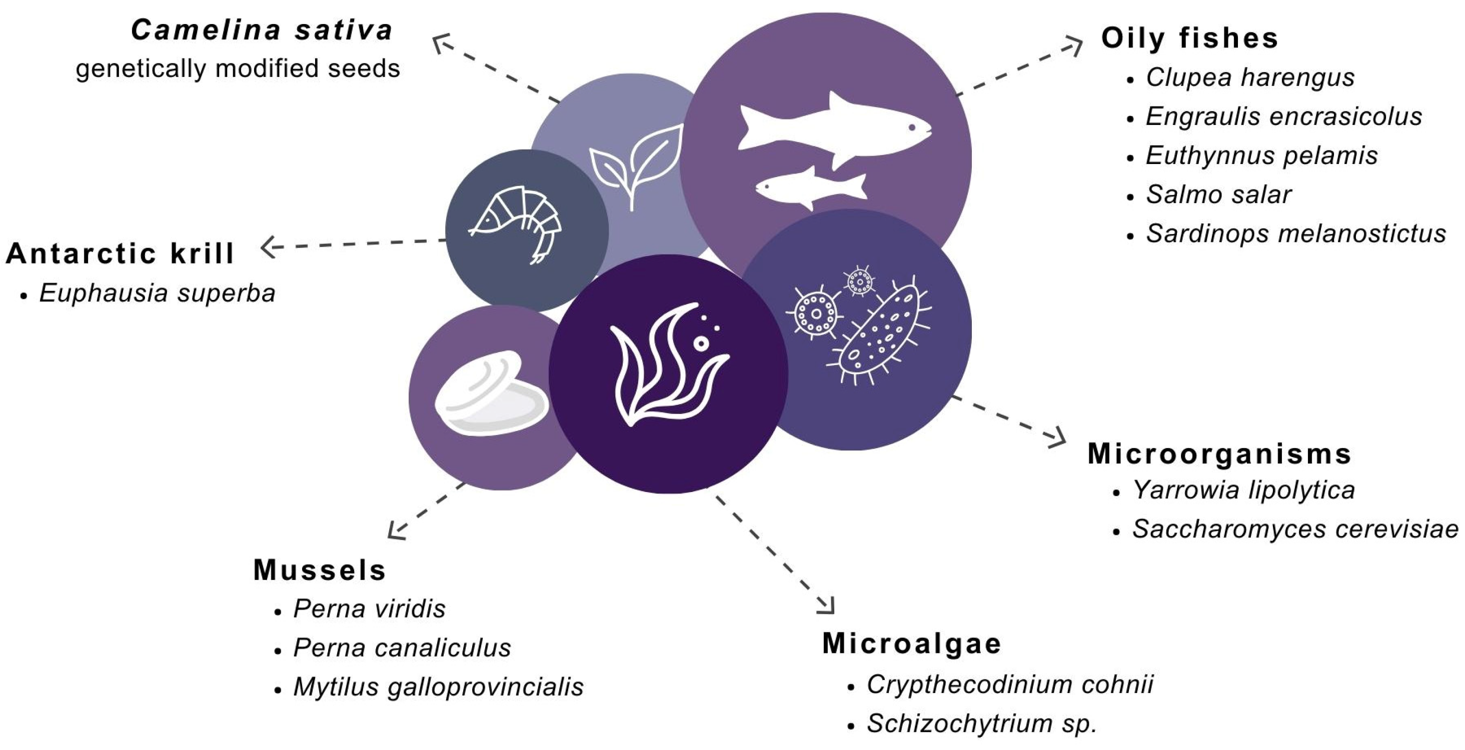 Applsci 13 11791 g005