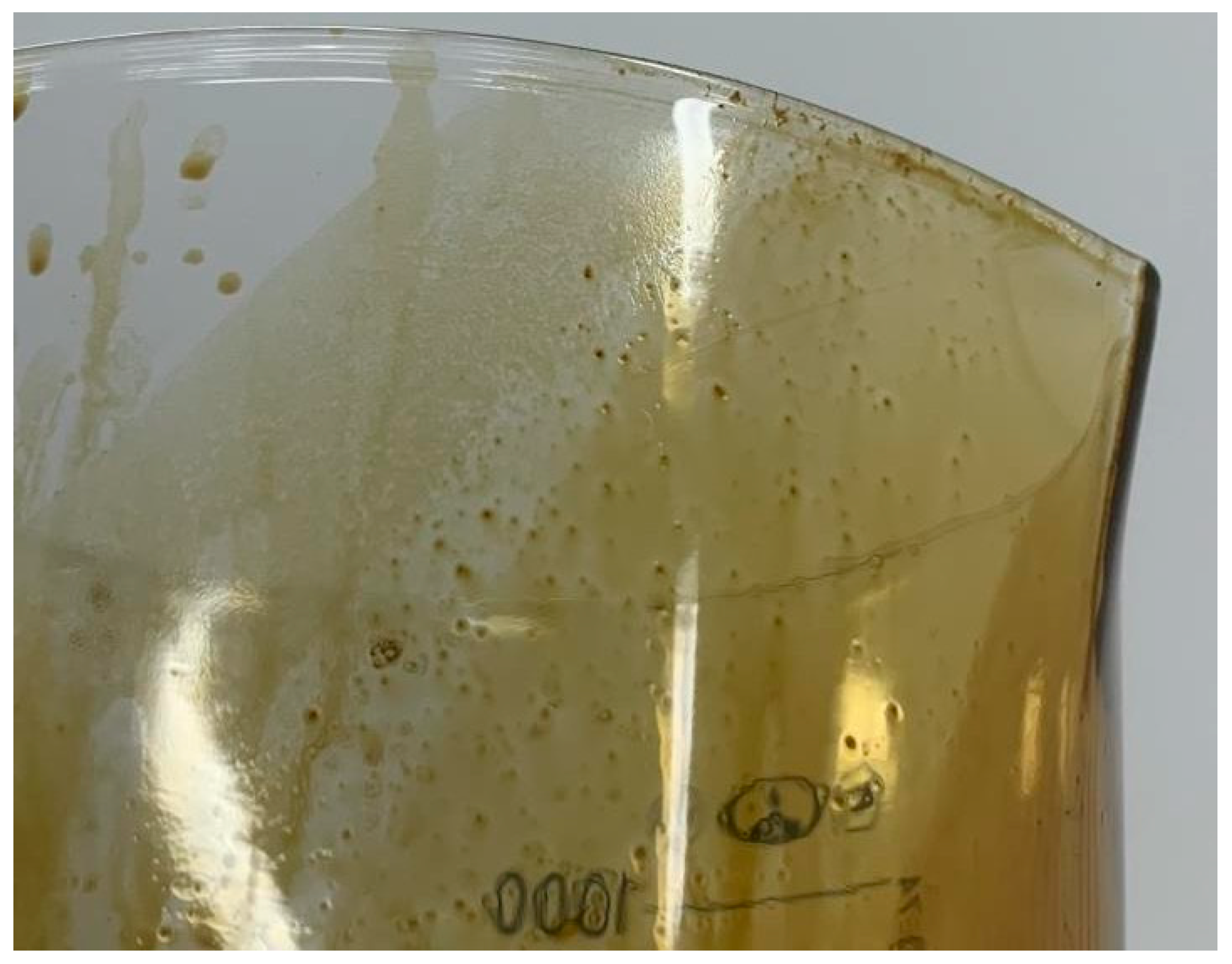 Applsci 13 11821 g015