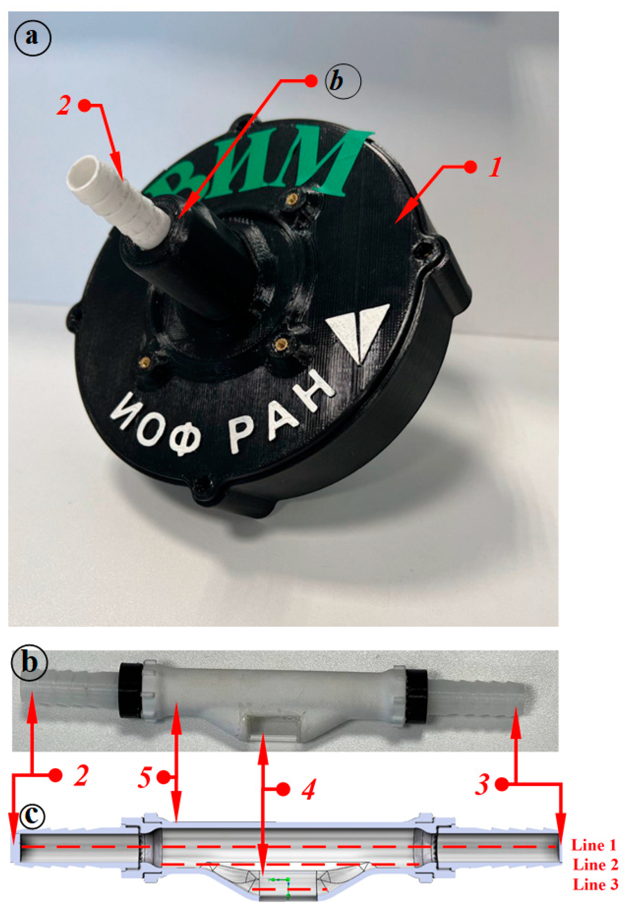 Applsci 13 11836 g001