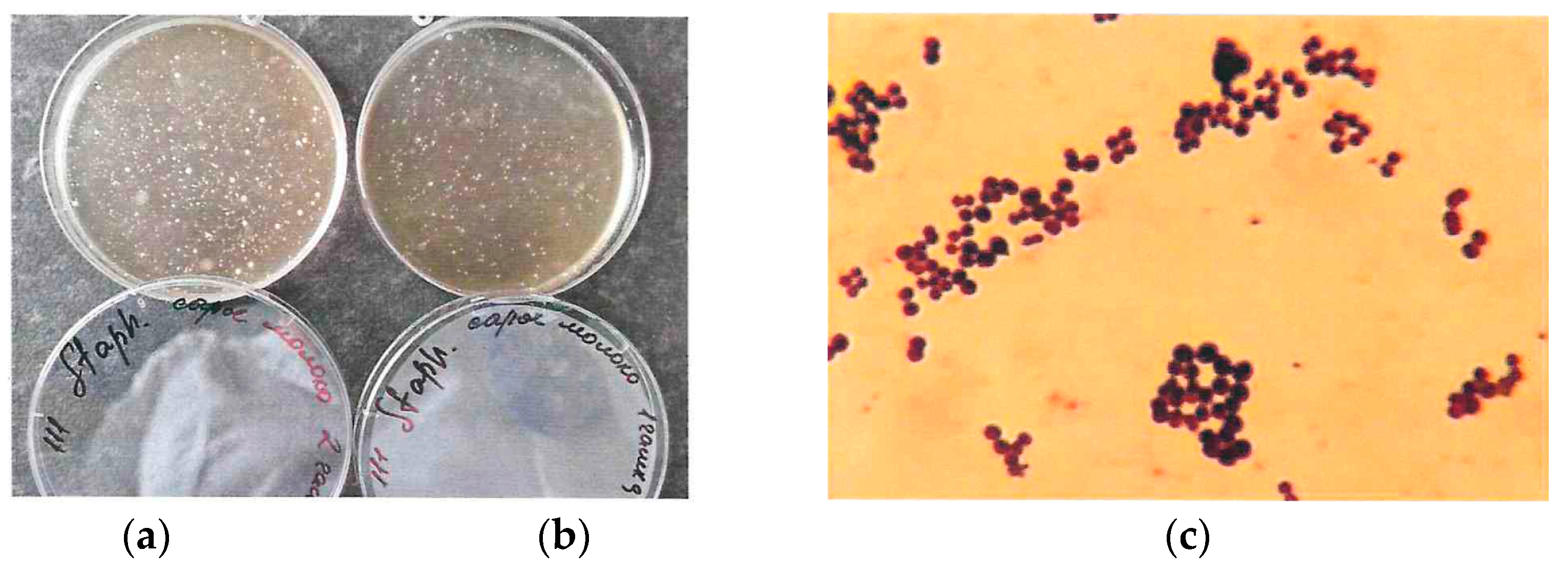 Applsci 13 11836 g003