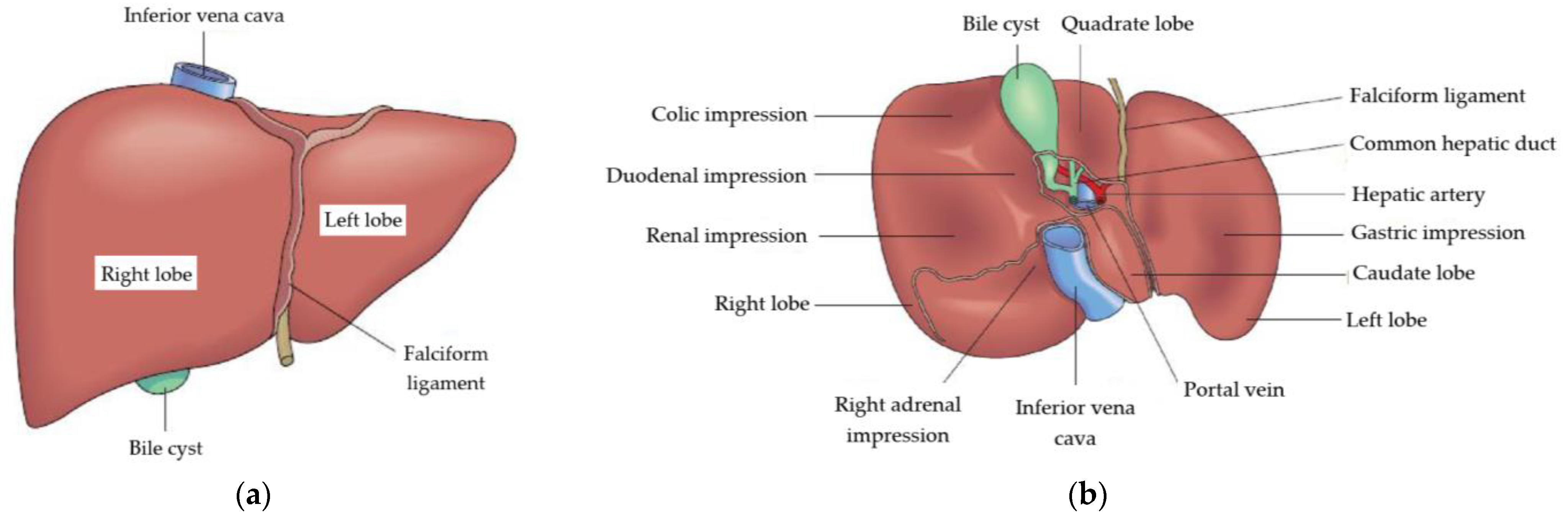 Applsci 13 11843 g001