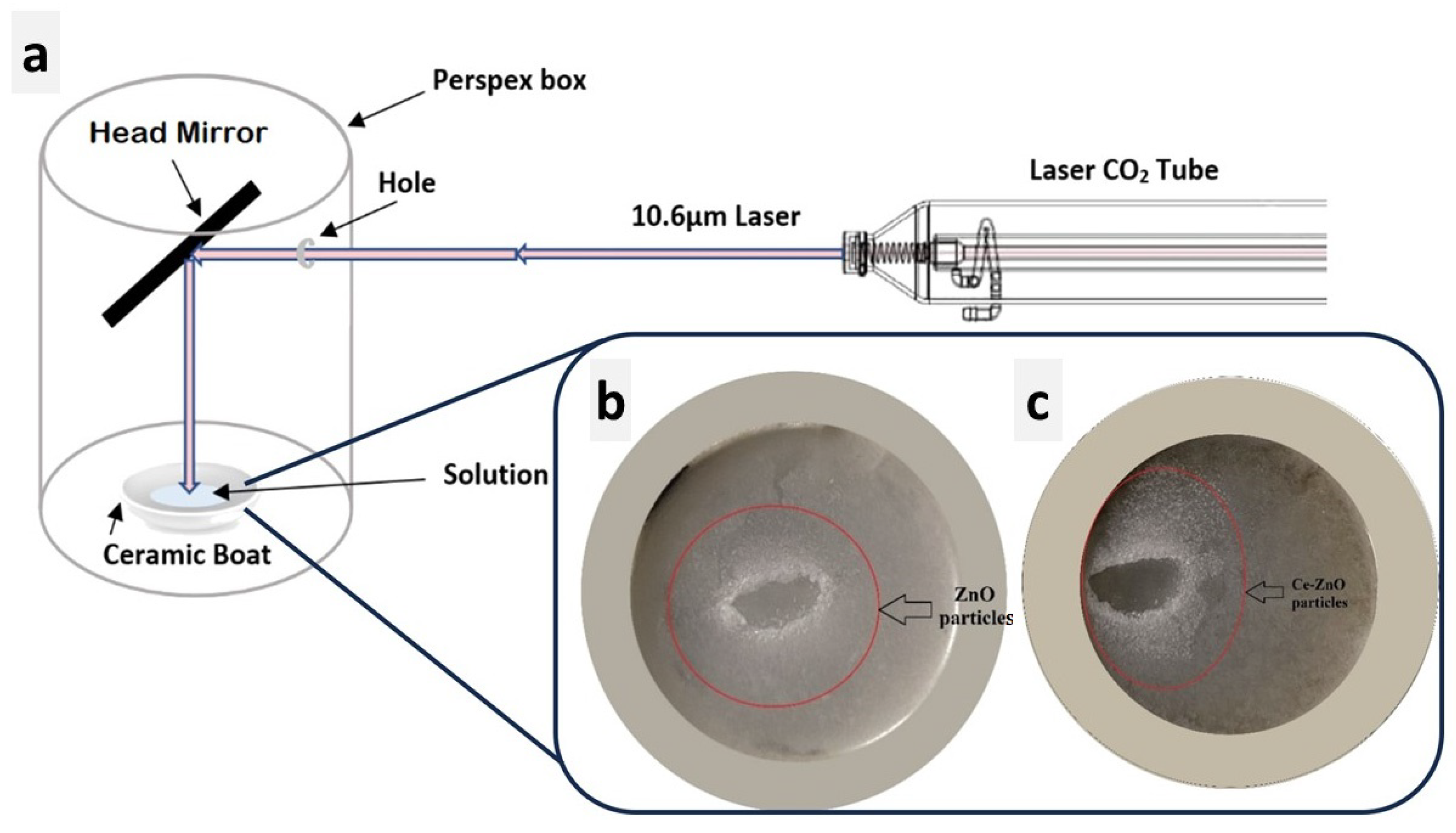 Applsci 13 11857 g001