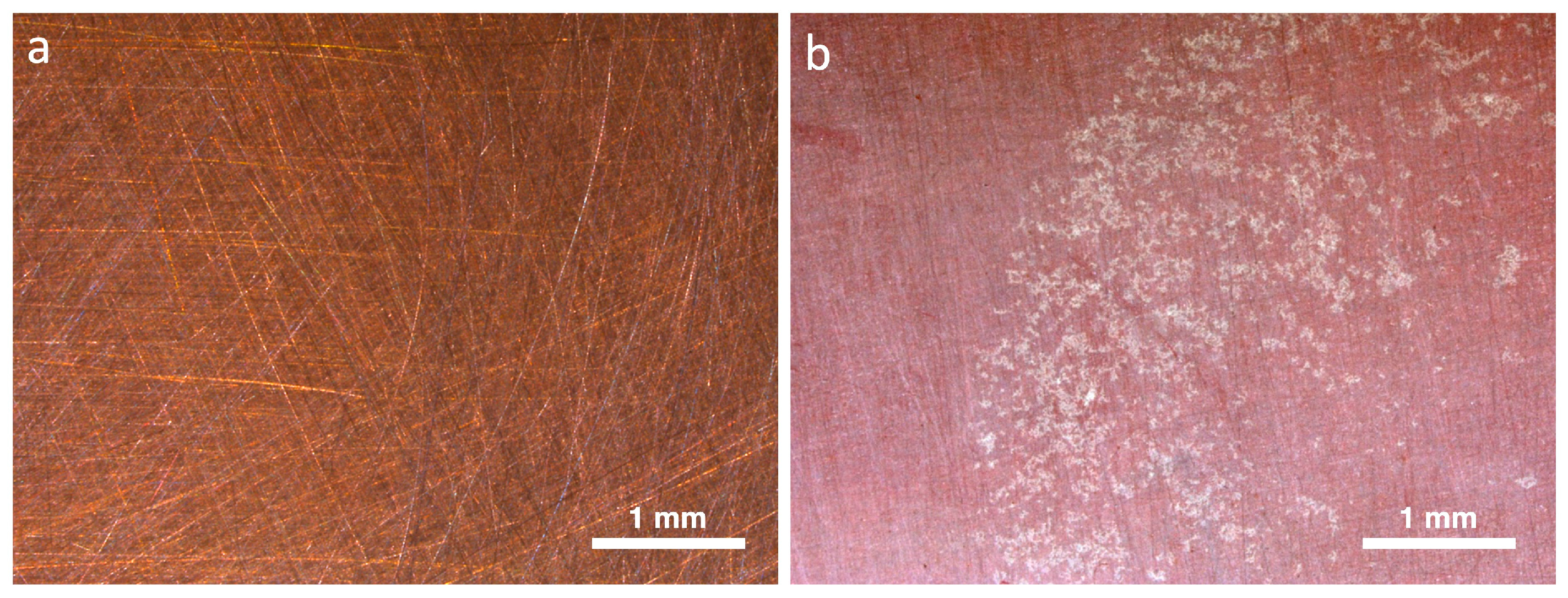 Applsci 13 11873 g007