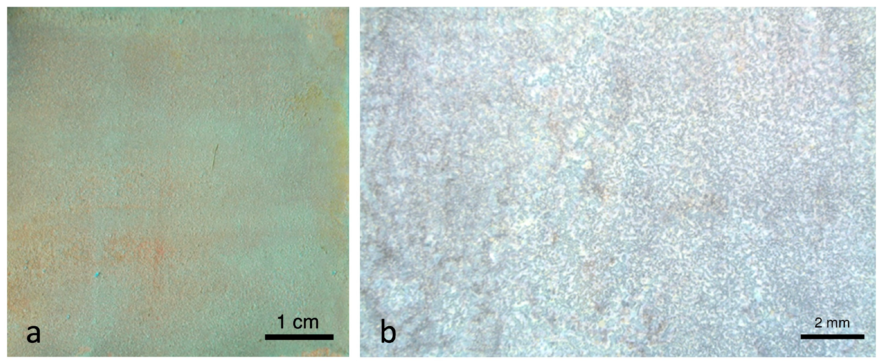 Applsci 13 11873 g009