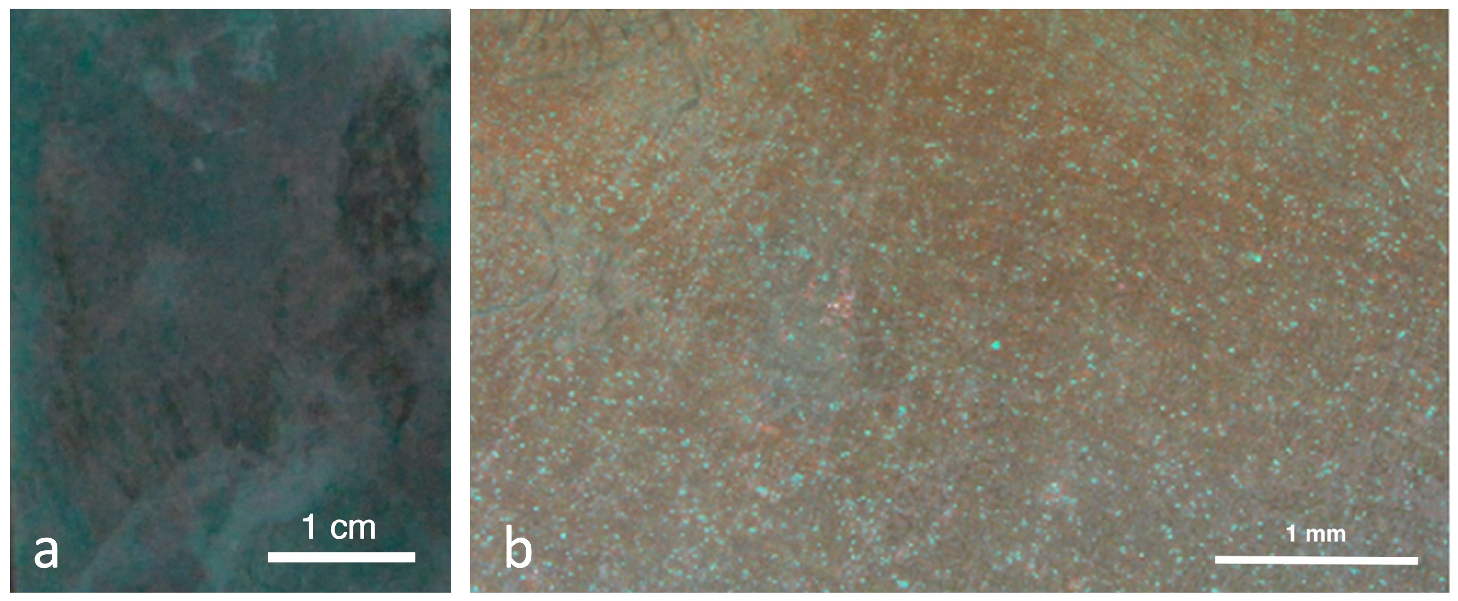 Applsci 13 11873 g013