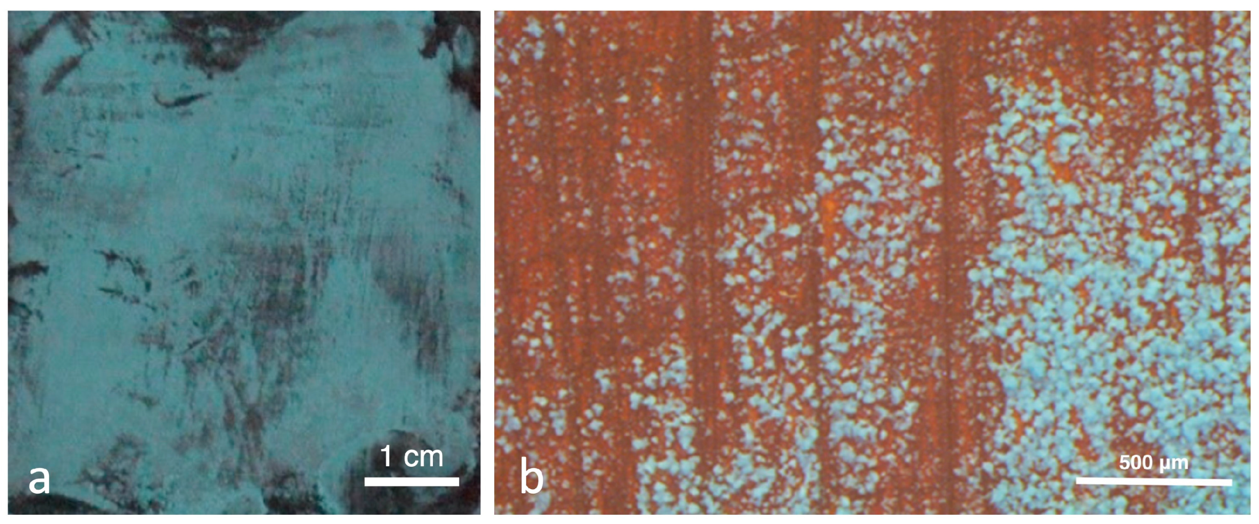 Applsci 13 11873 g015