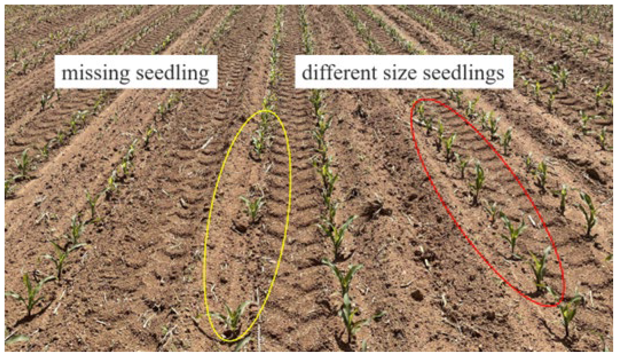 Applsci 13 11884 g001