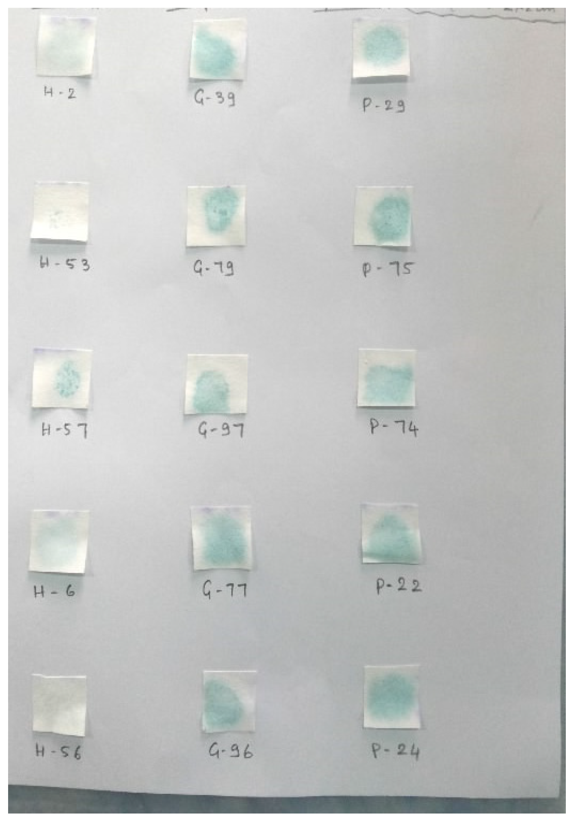 Applsci 13 11903 g001