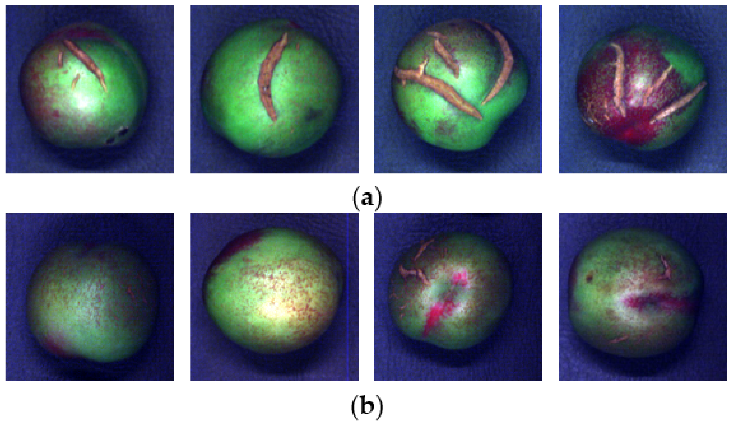 Applsci 13 11904 g003