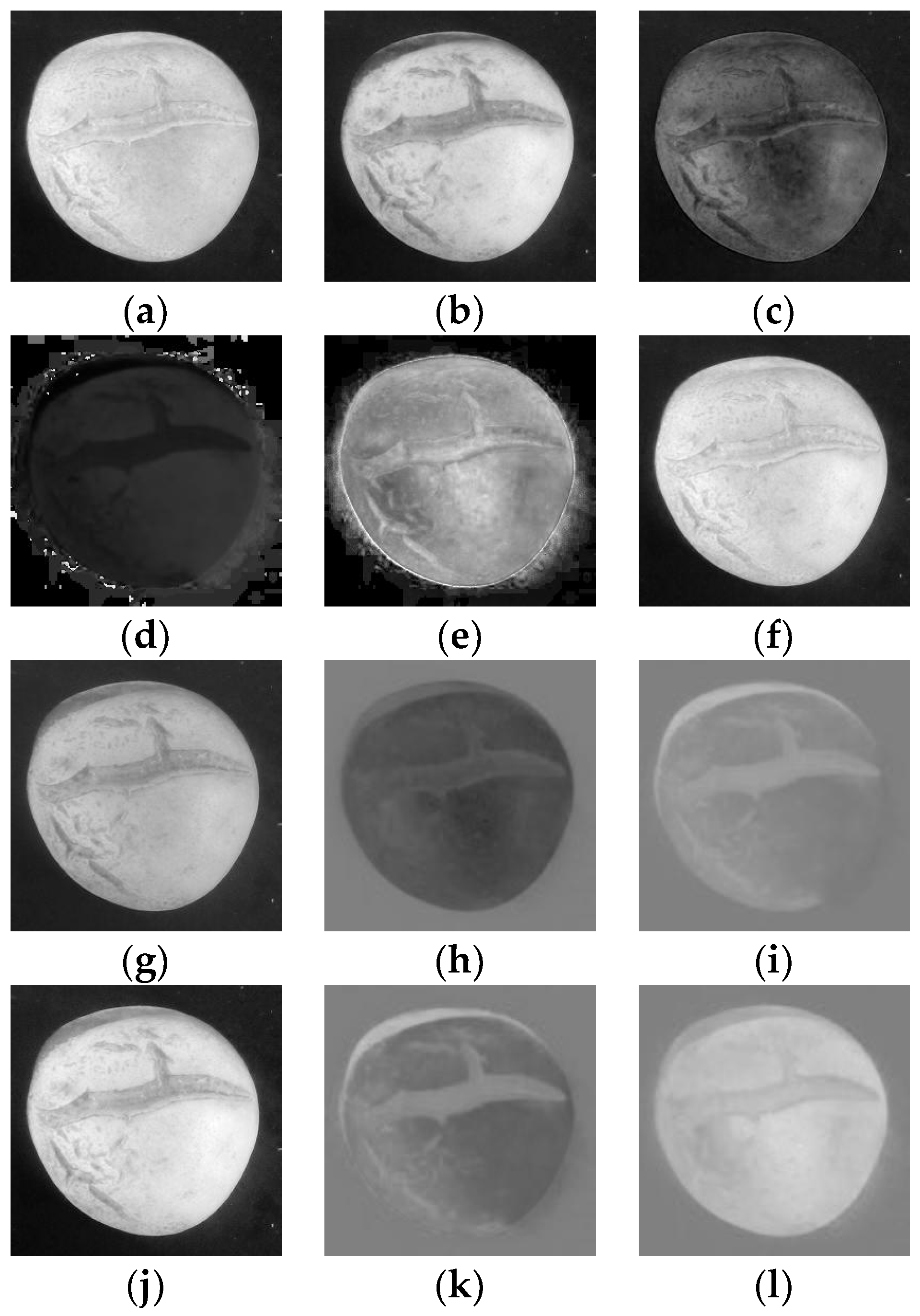 Applsci 13 11904 g004