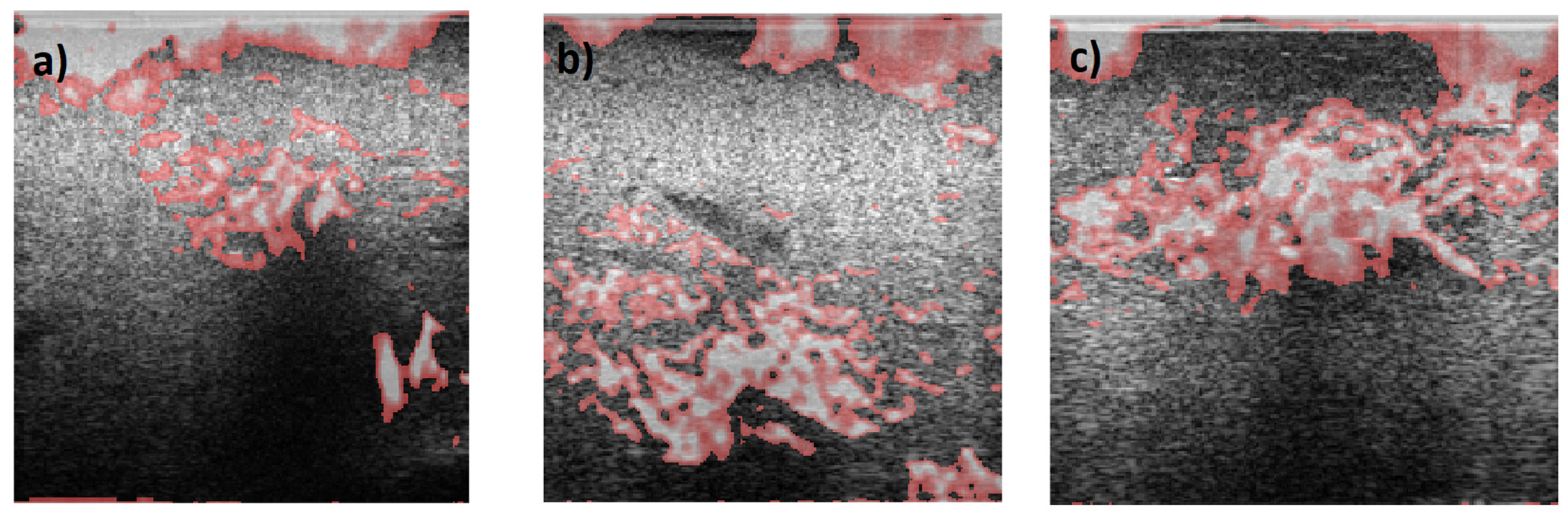 Applsci 13 11912 g016