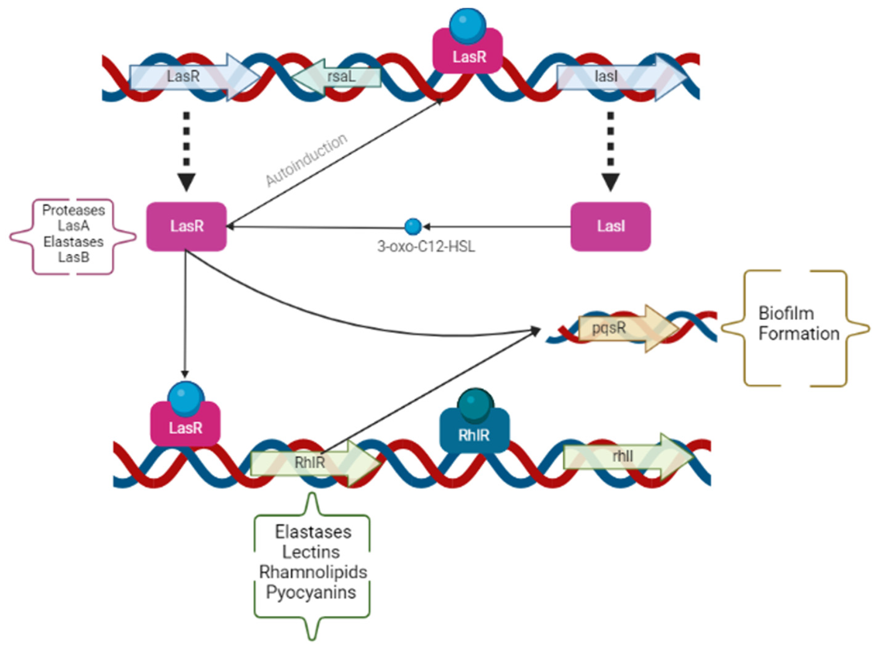 Applsci 13 11918 g001