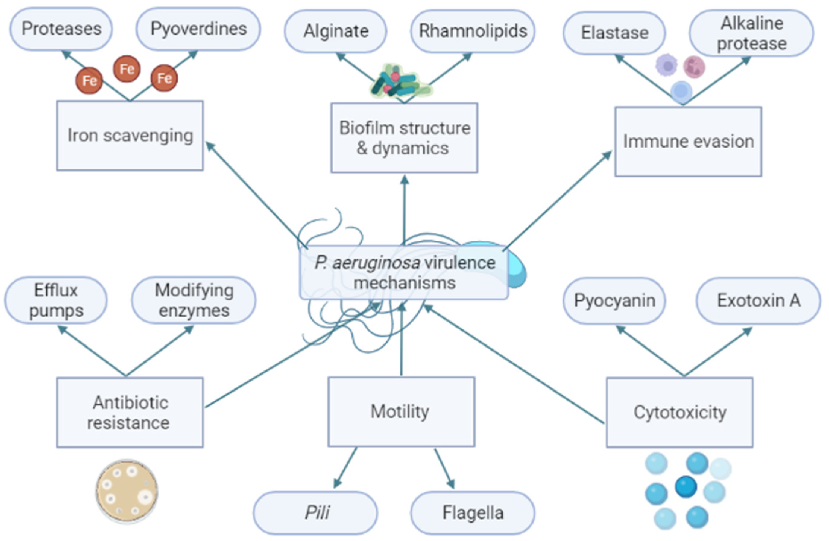 Applsci 13 11918 g002