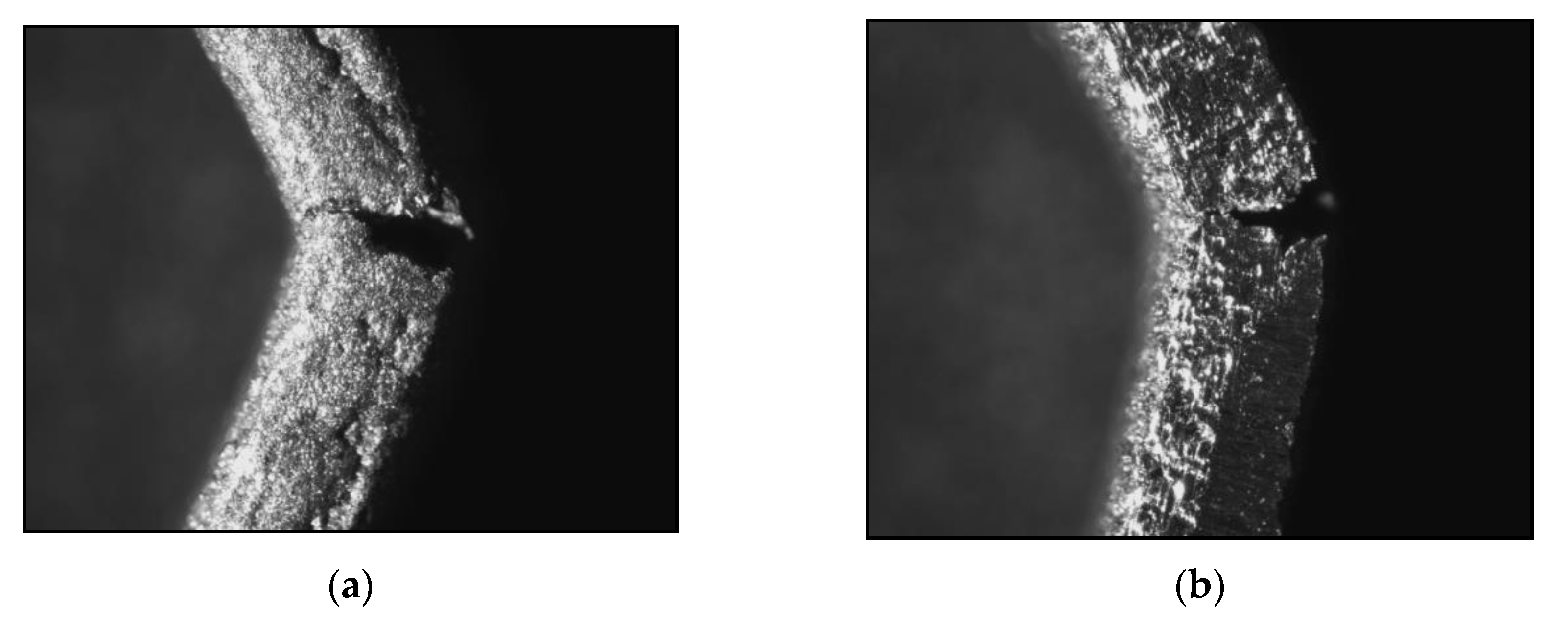 Applsci 13 11958 g016