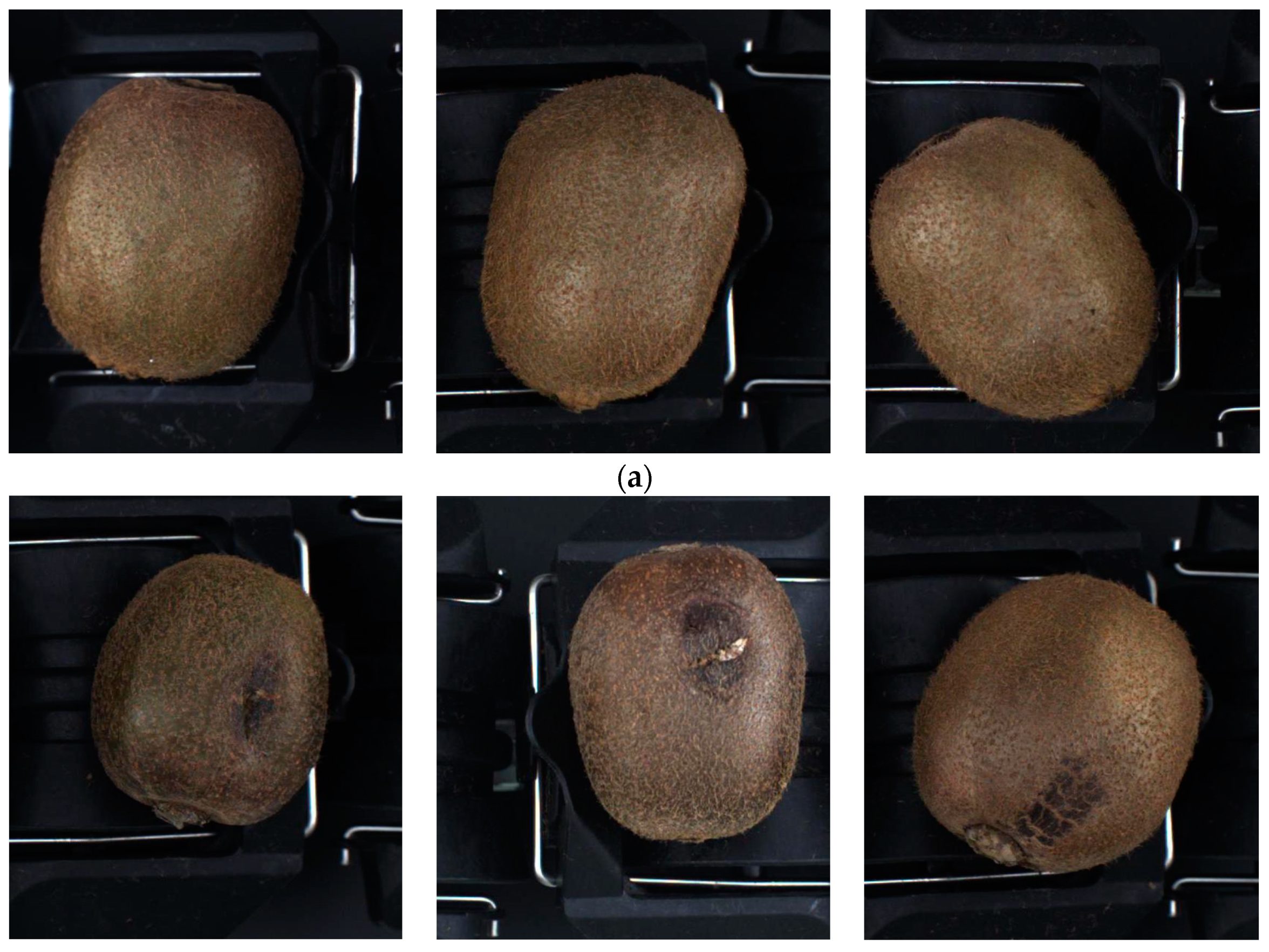 Applsci 13 11971 g002a