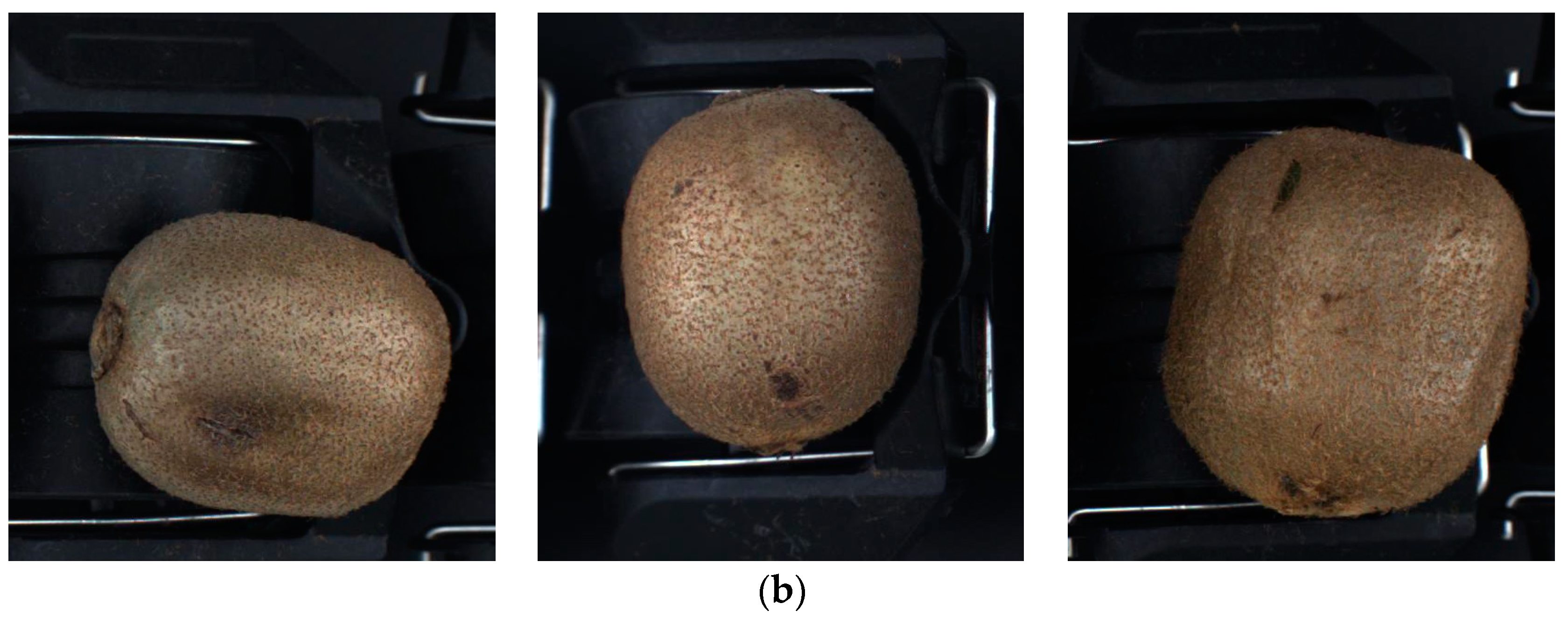 Applsci 13 11971 g002b