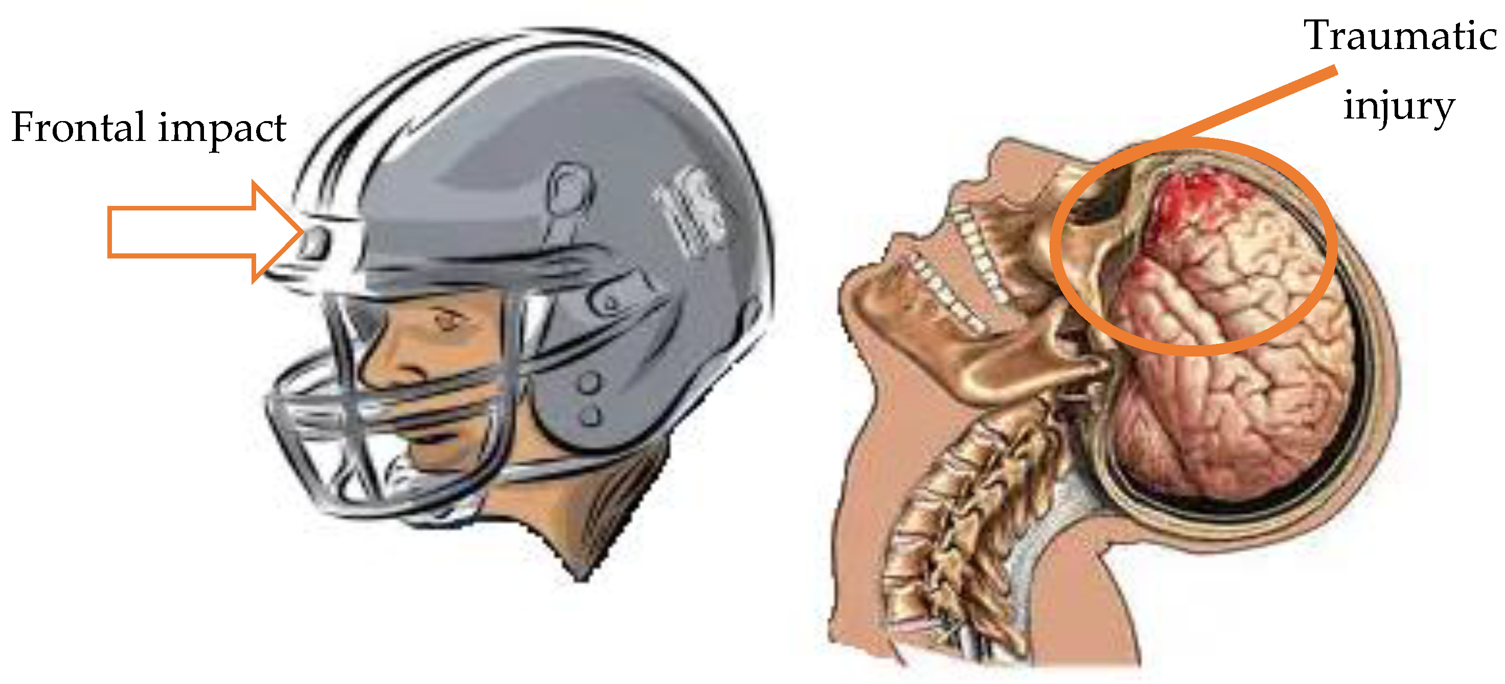 Applsci 13 11989 g001