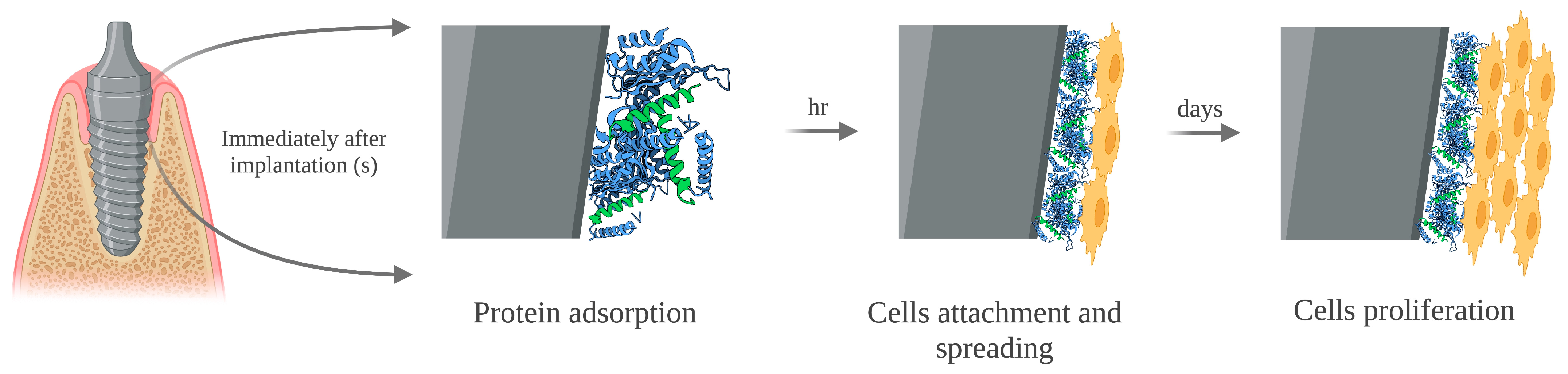 Applsci 13 12000 g004