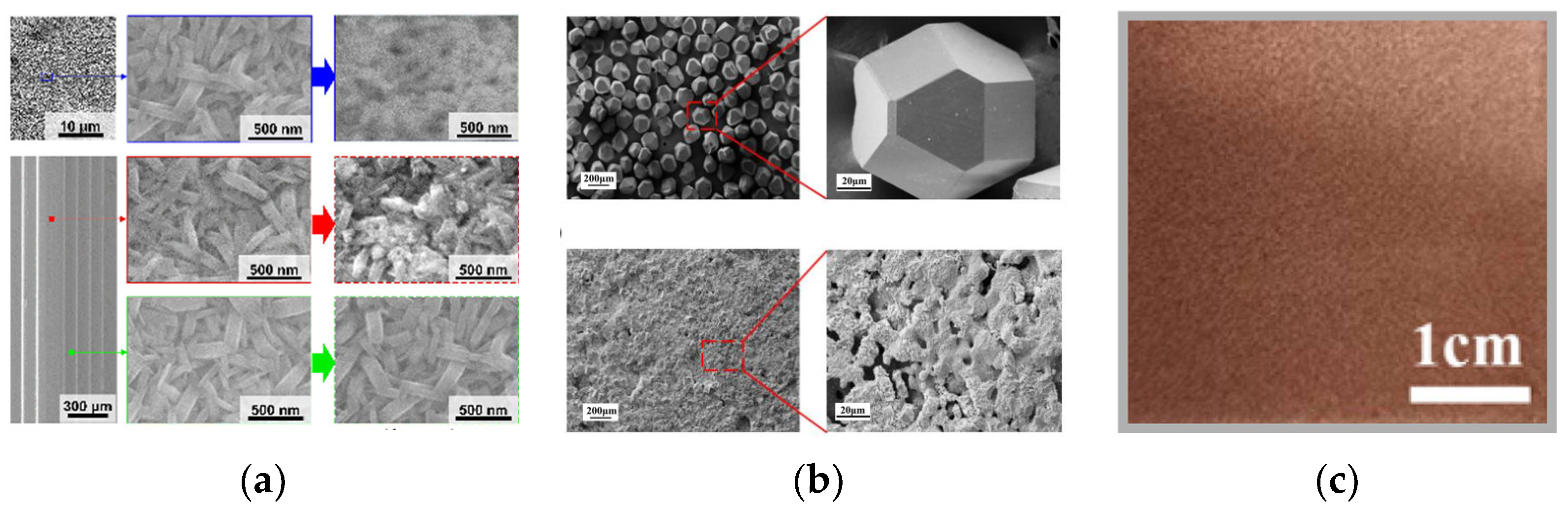 Applsci 13 12026 g007